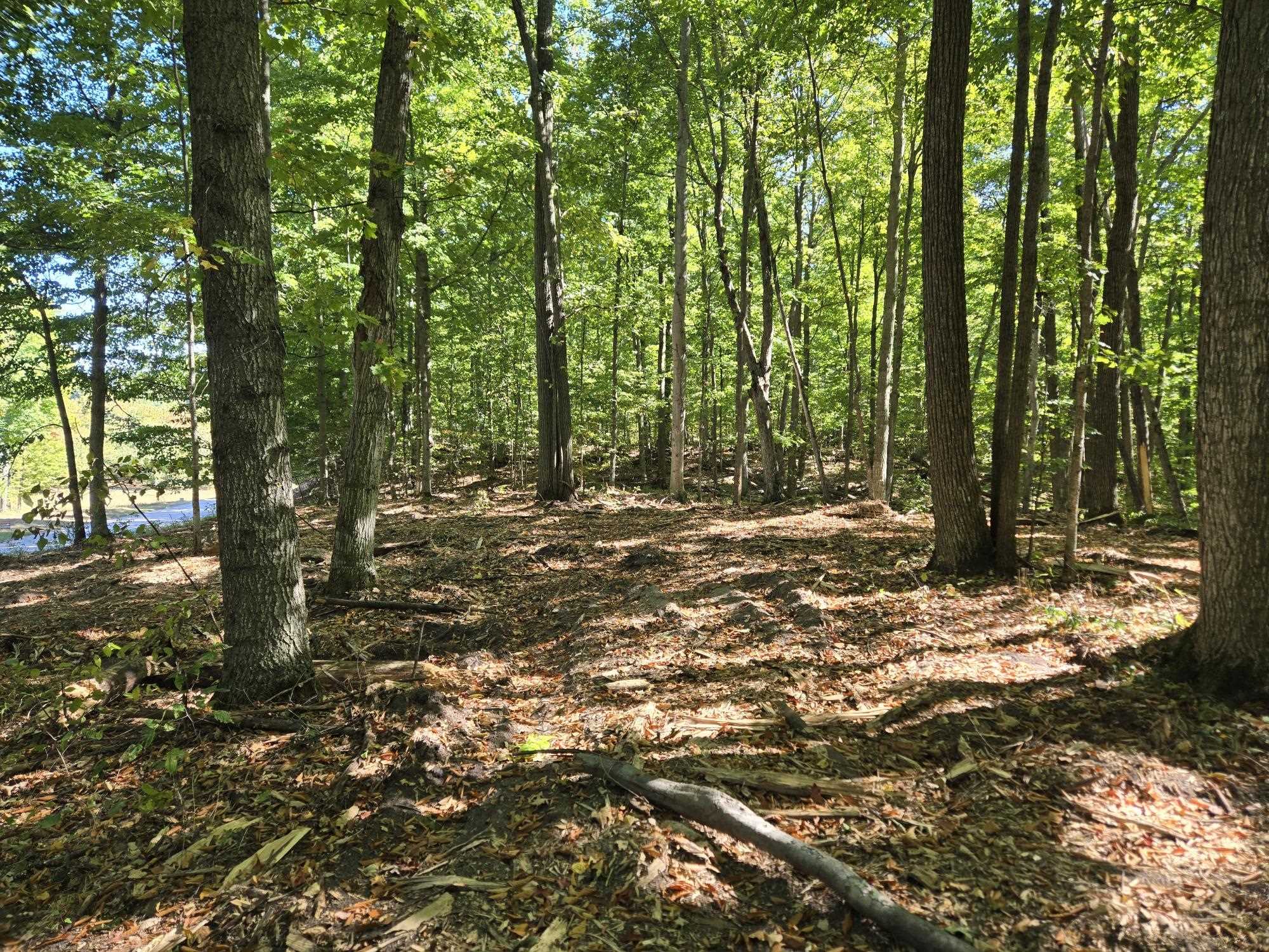 004 Heather Ridge Trail Property Photo 6