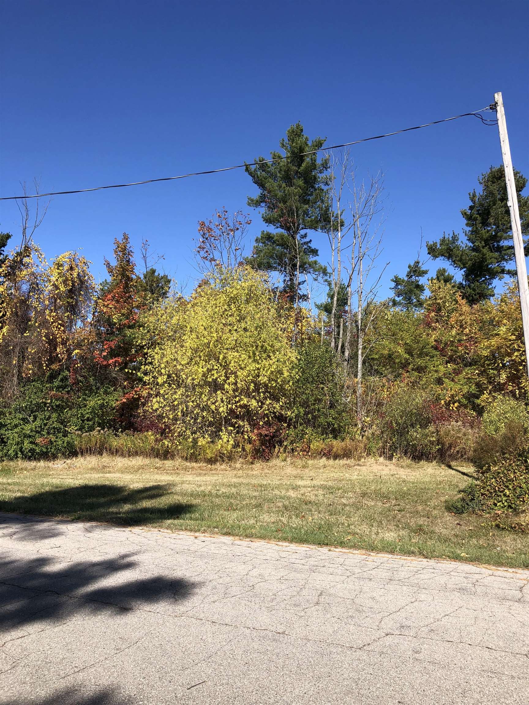 #4 Lamoreaux Drive Property Photo 2