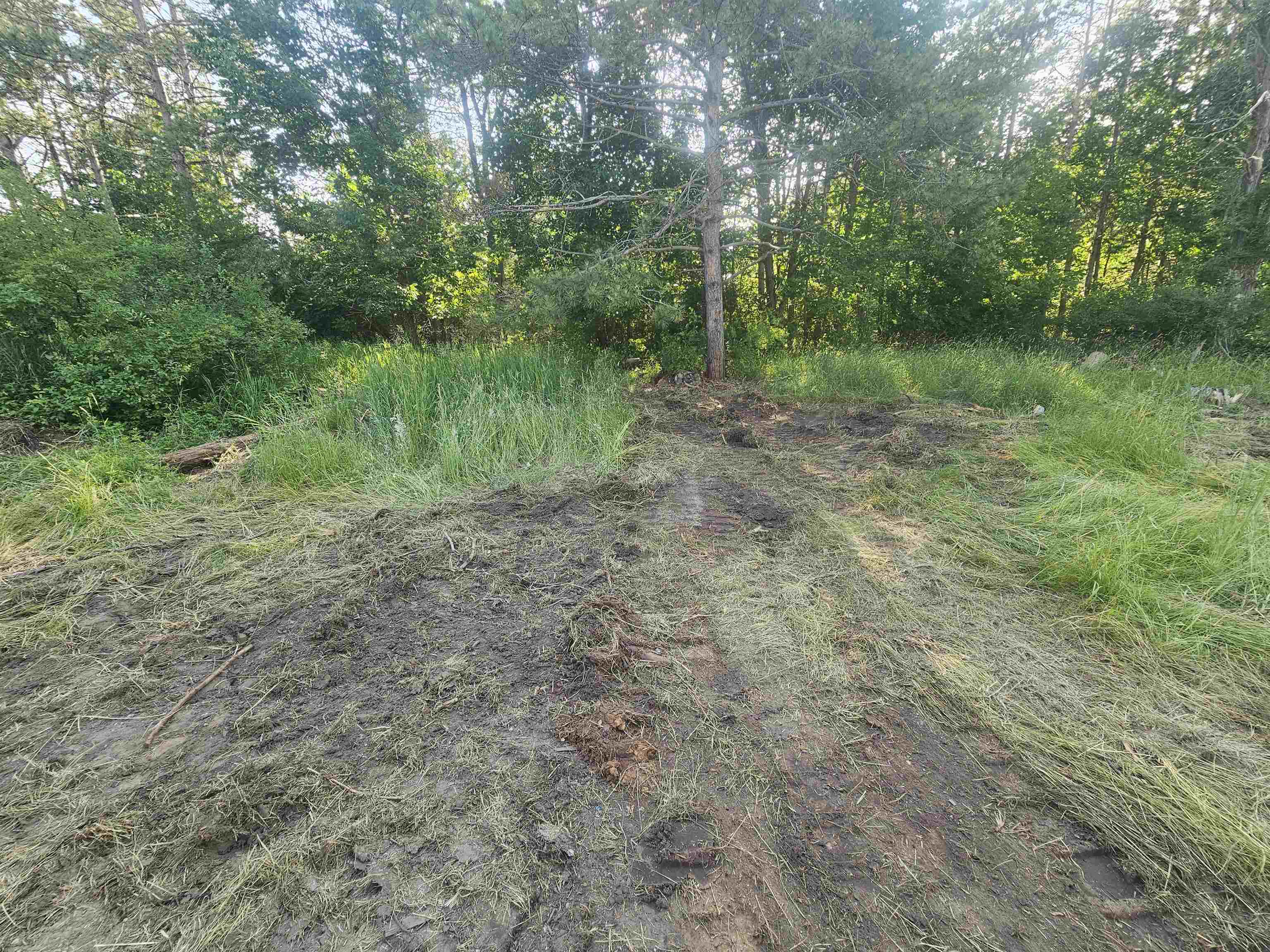 12877 Us-31 N Property Photo 9