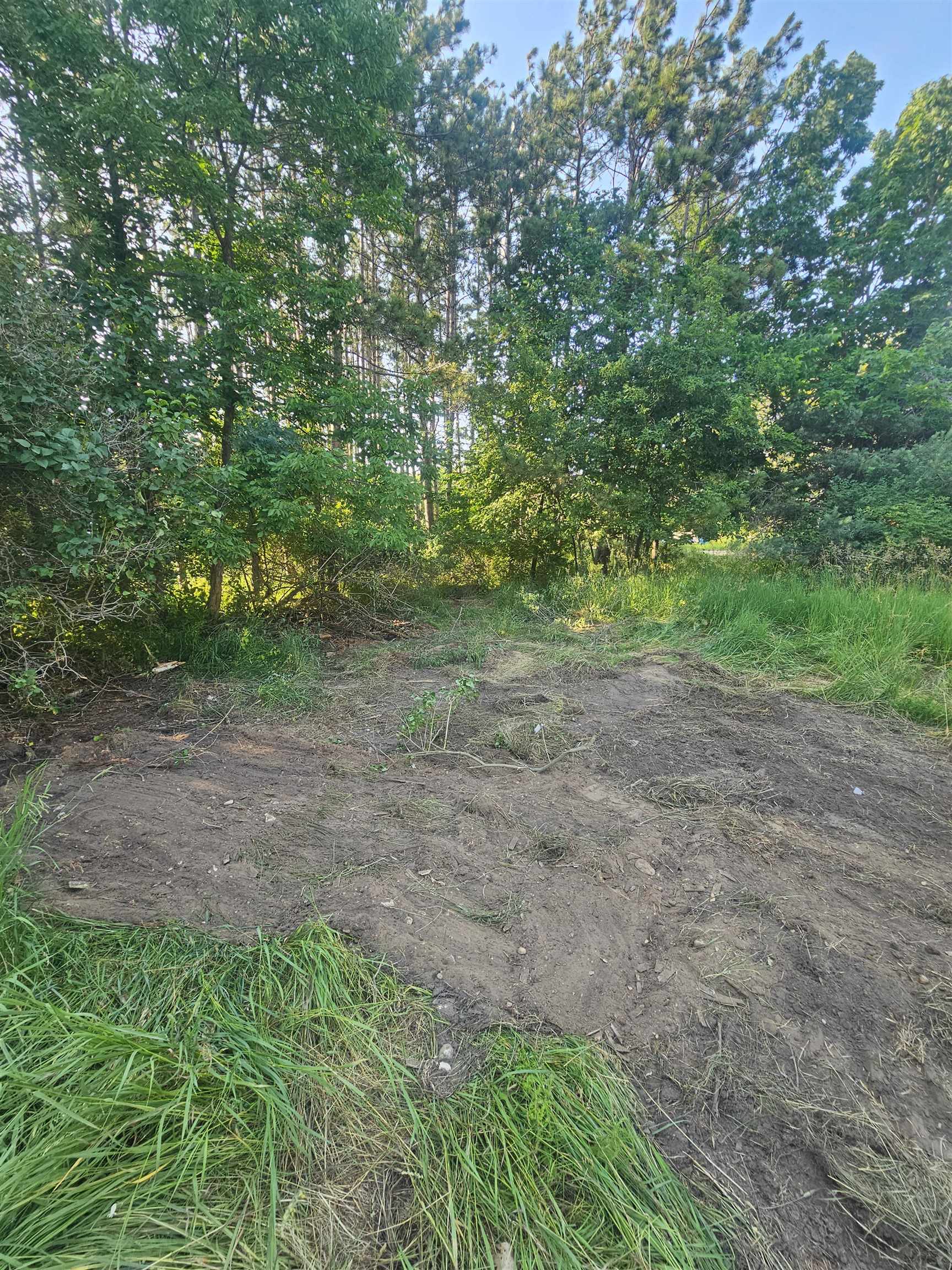 12877 Us-31 N Property Photo 19