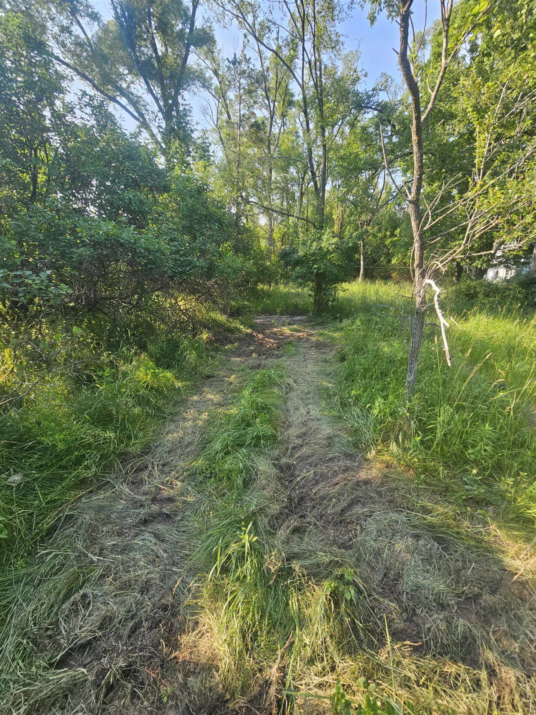 12877 Us-31 N Property Photo 20
