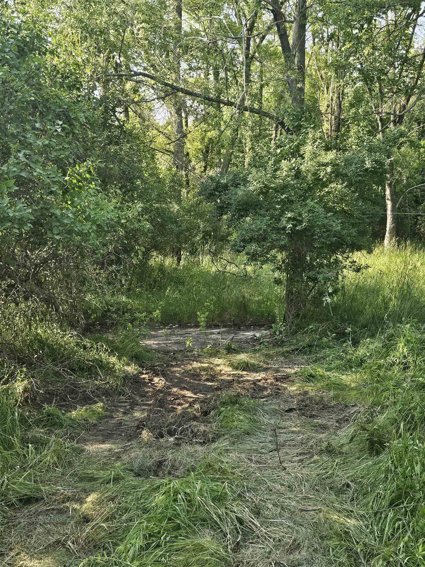 12877 Us-31 N Property Photo 21