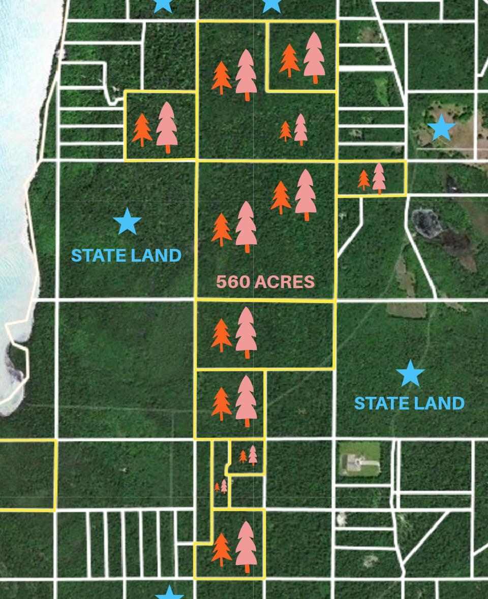 Tbd Beaver Island Road Property Photo 1