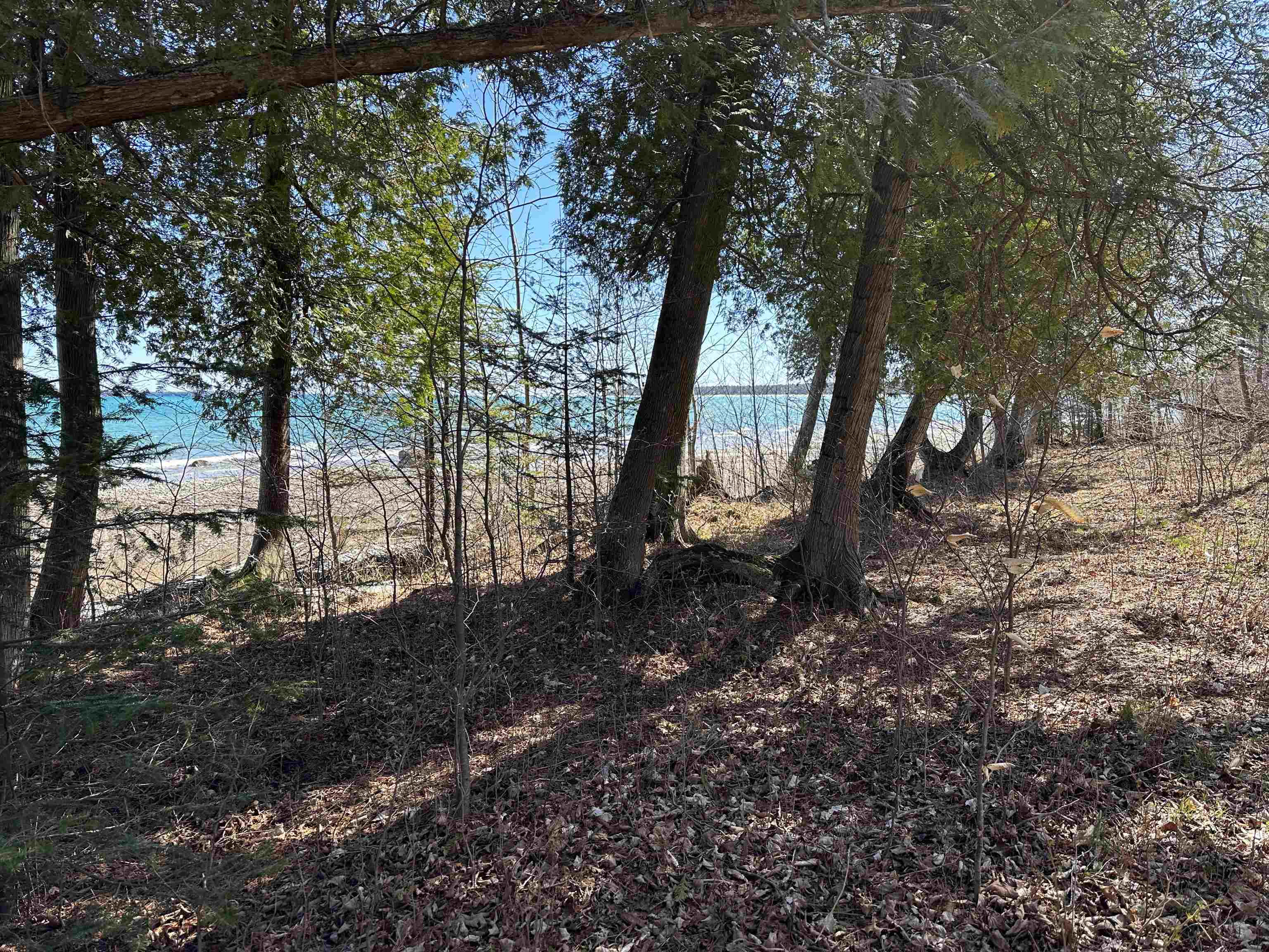 Tbd Beaver Island Road Property Photo 1