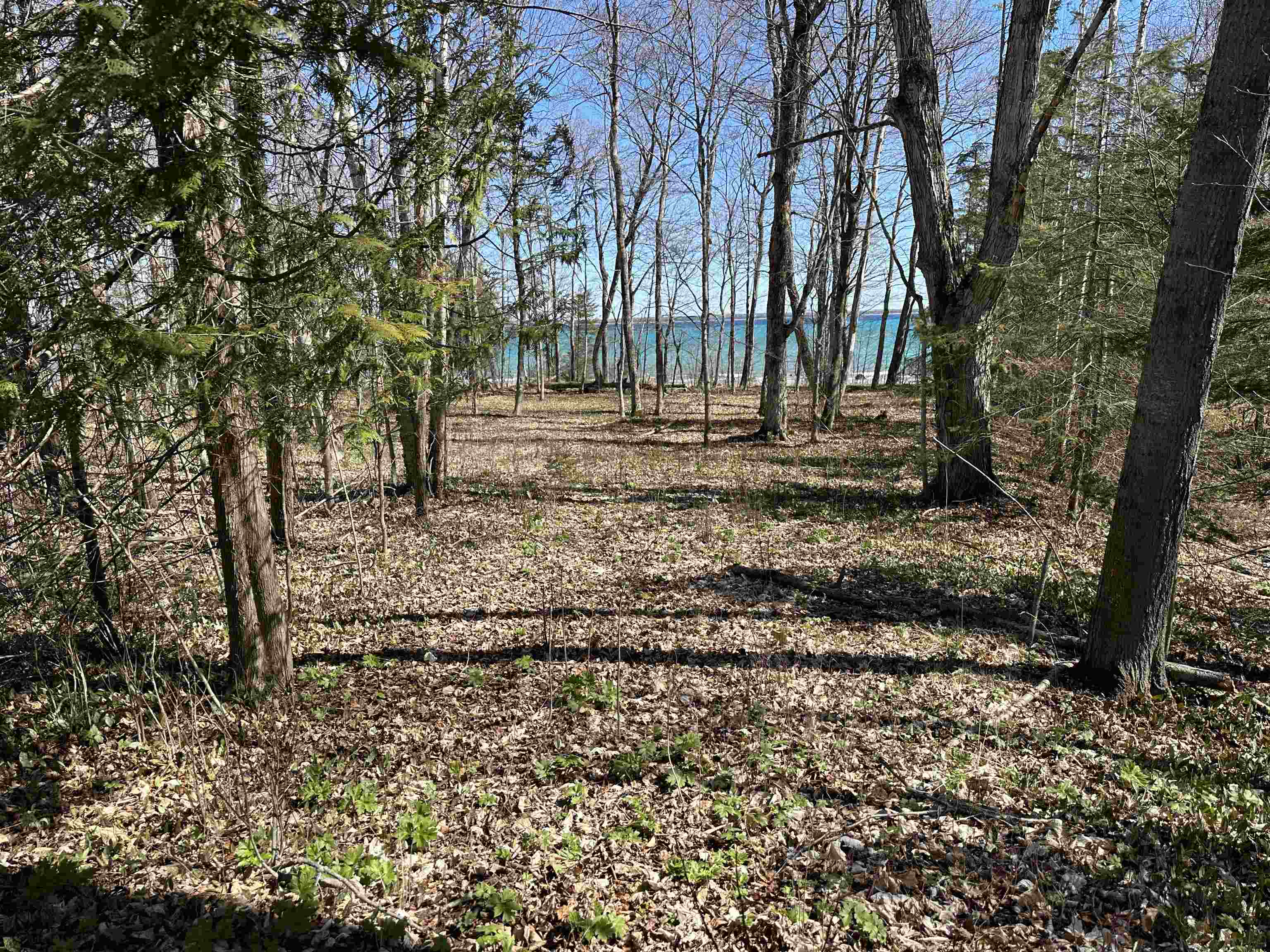 Tbd Beaver Island Road Property Photo 2