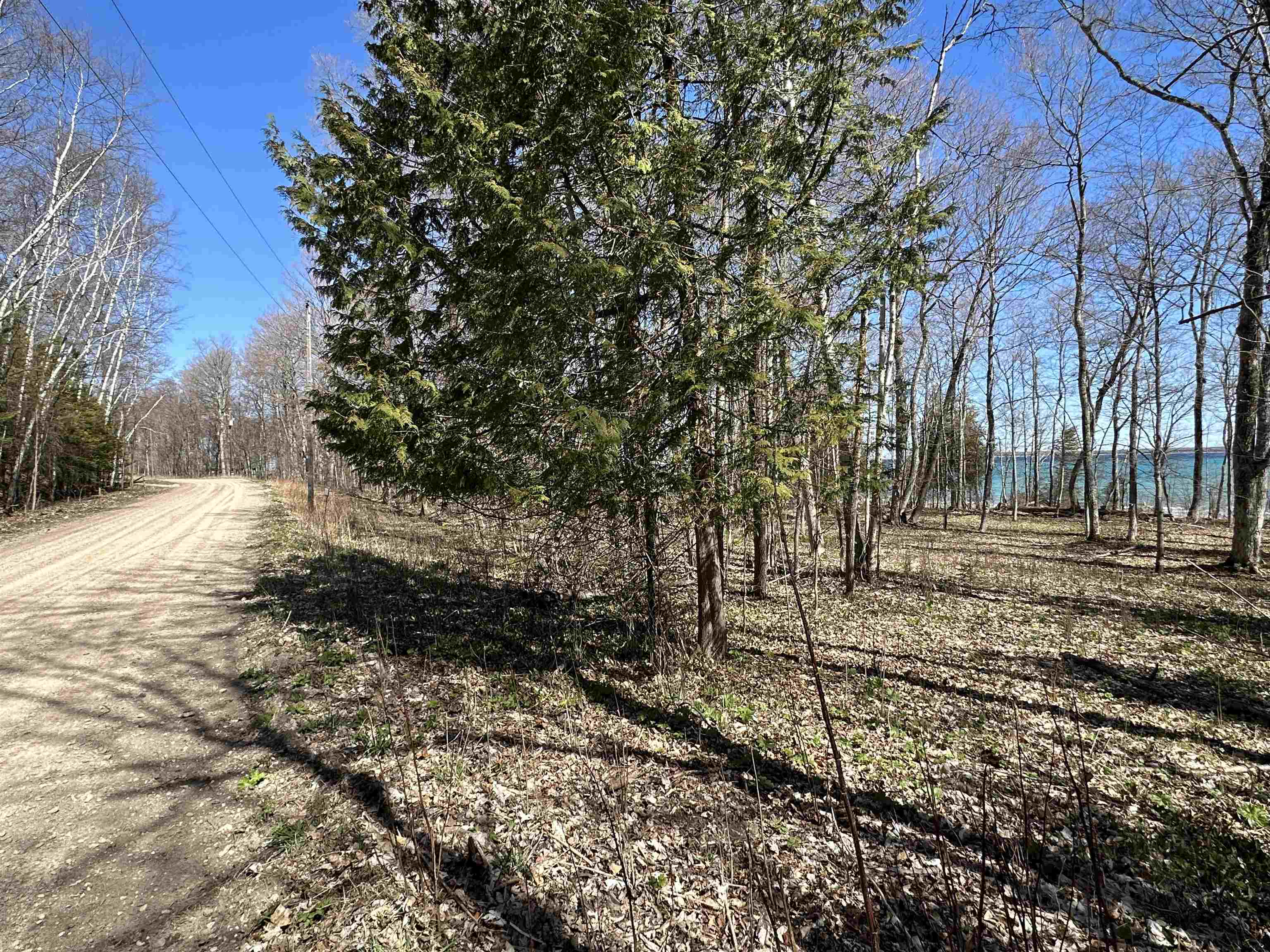Tbd Beaver Island Road Property Photo 3