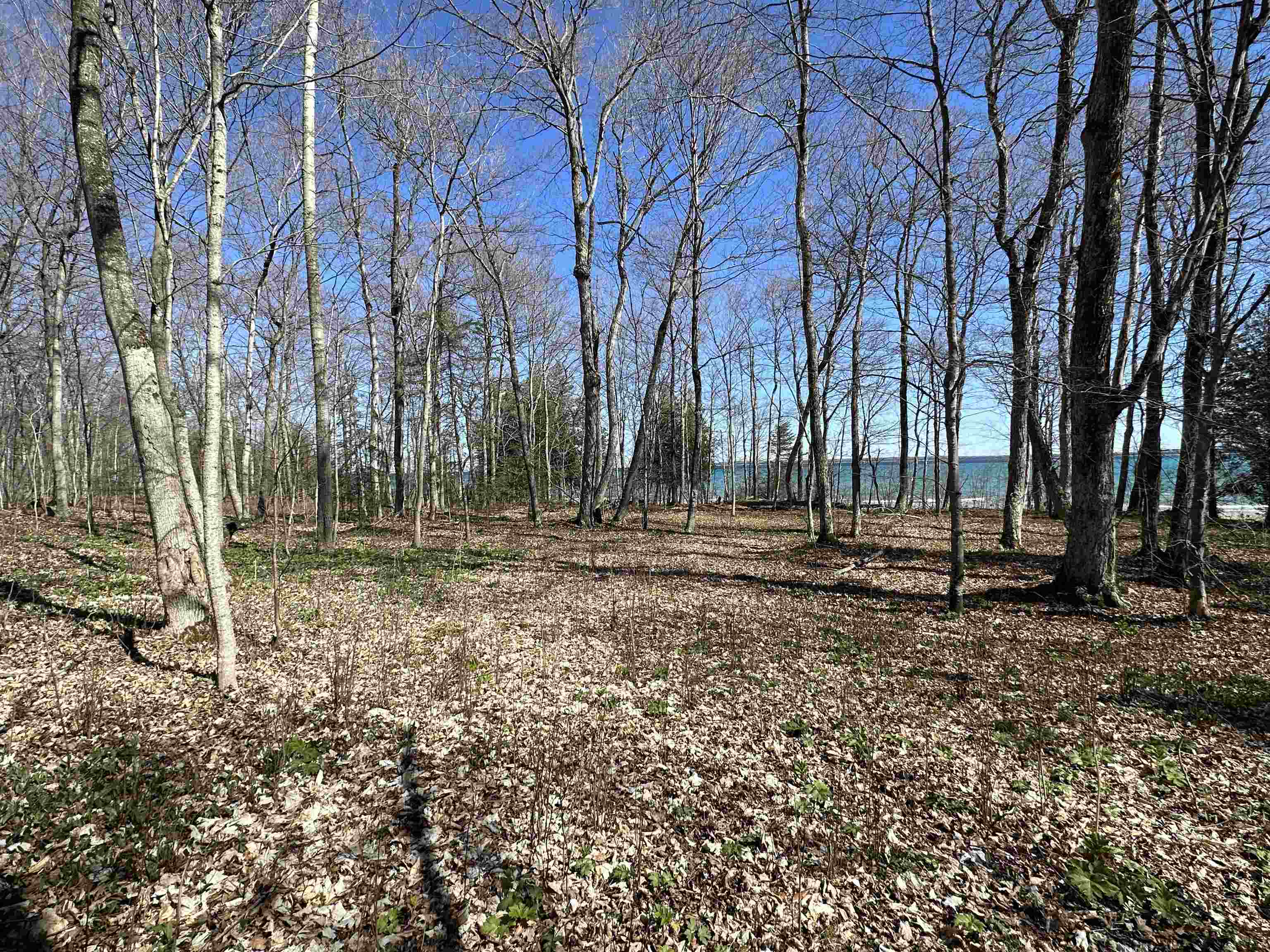 Tbd Beaver Island Road Property Photo 4