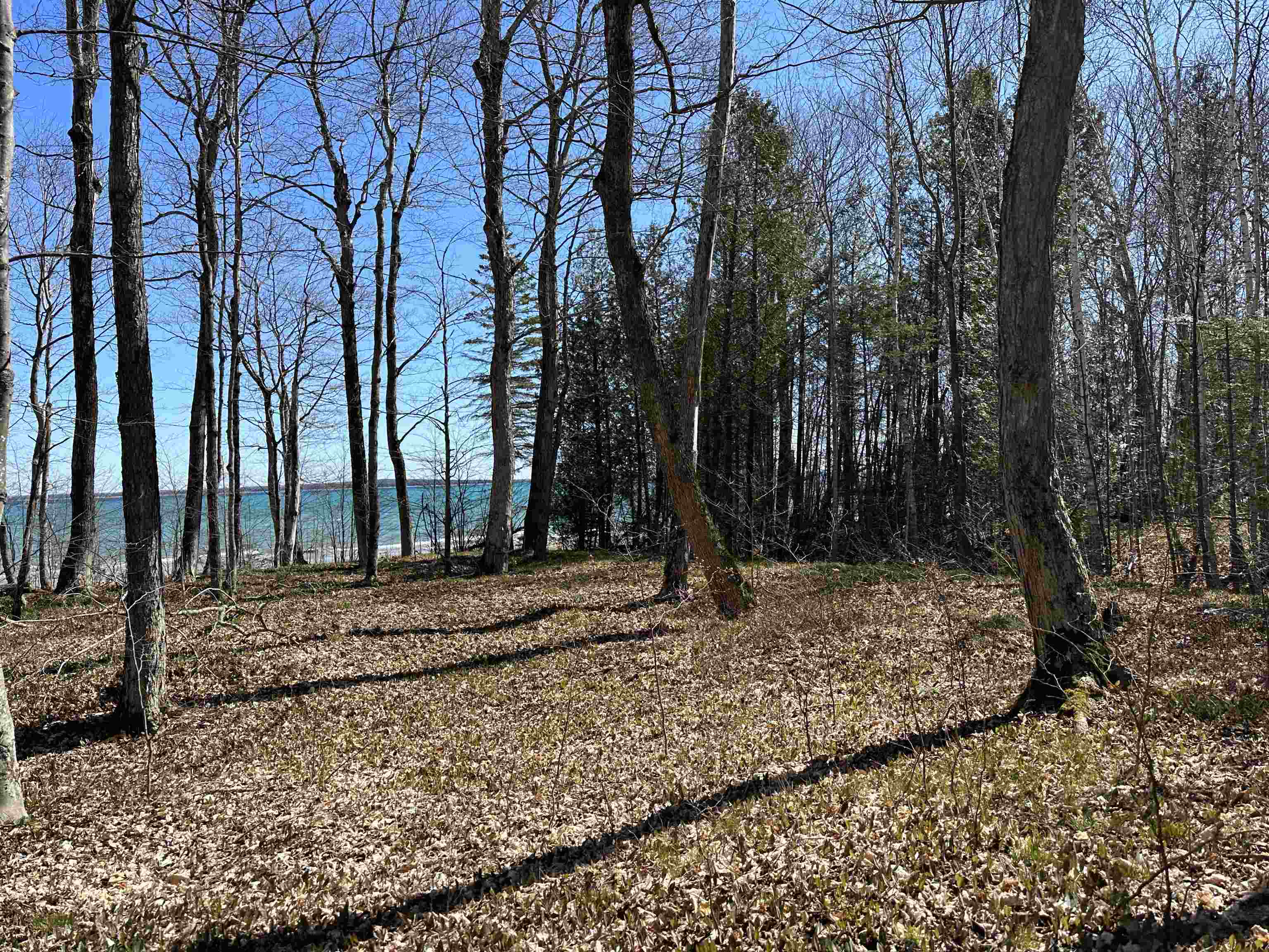 Tbd Beaver Island Road Property Photo 7