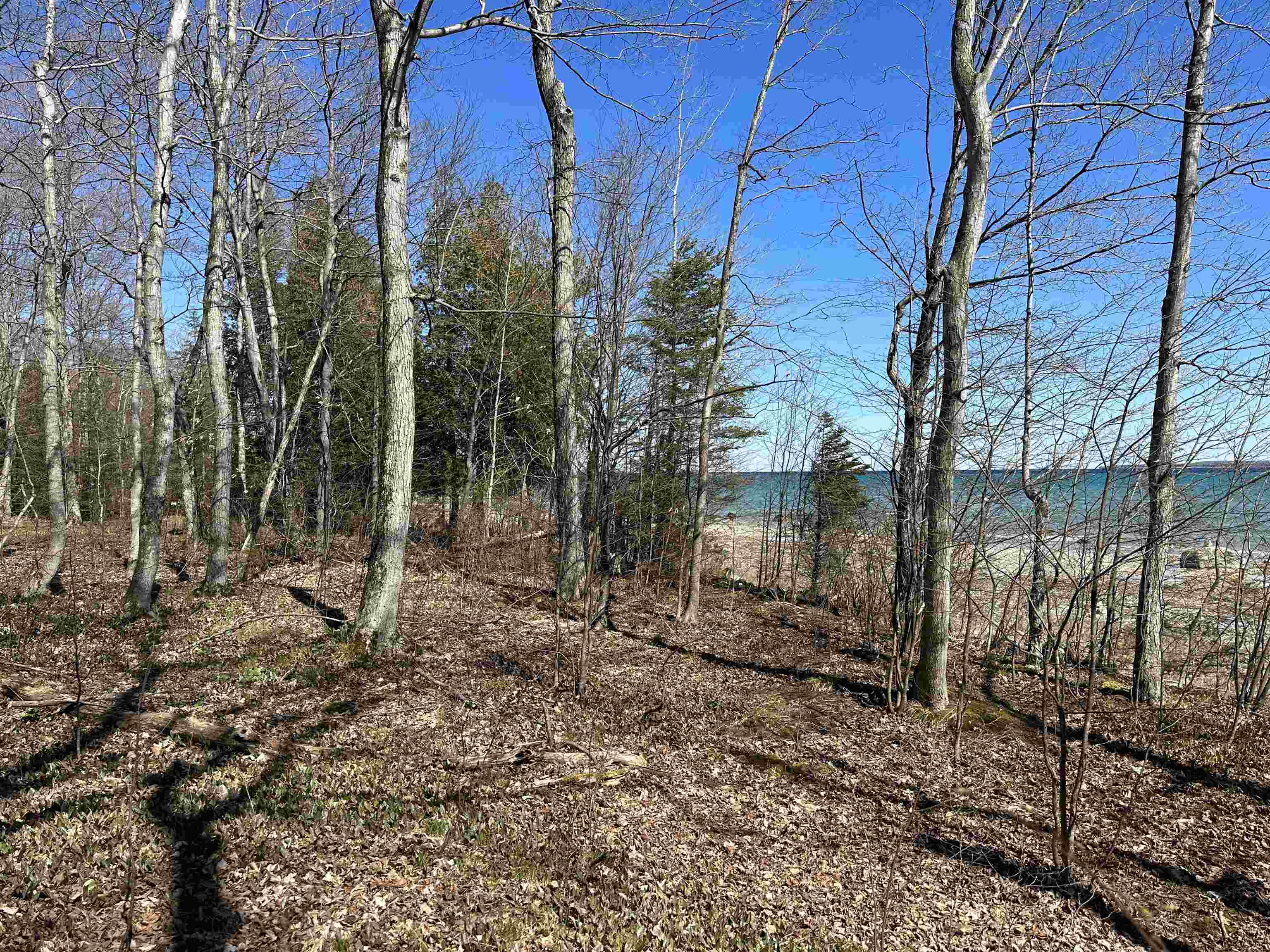 Tbd Beaver Island Road Property Photo 8