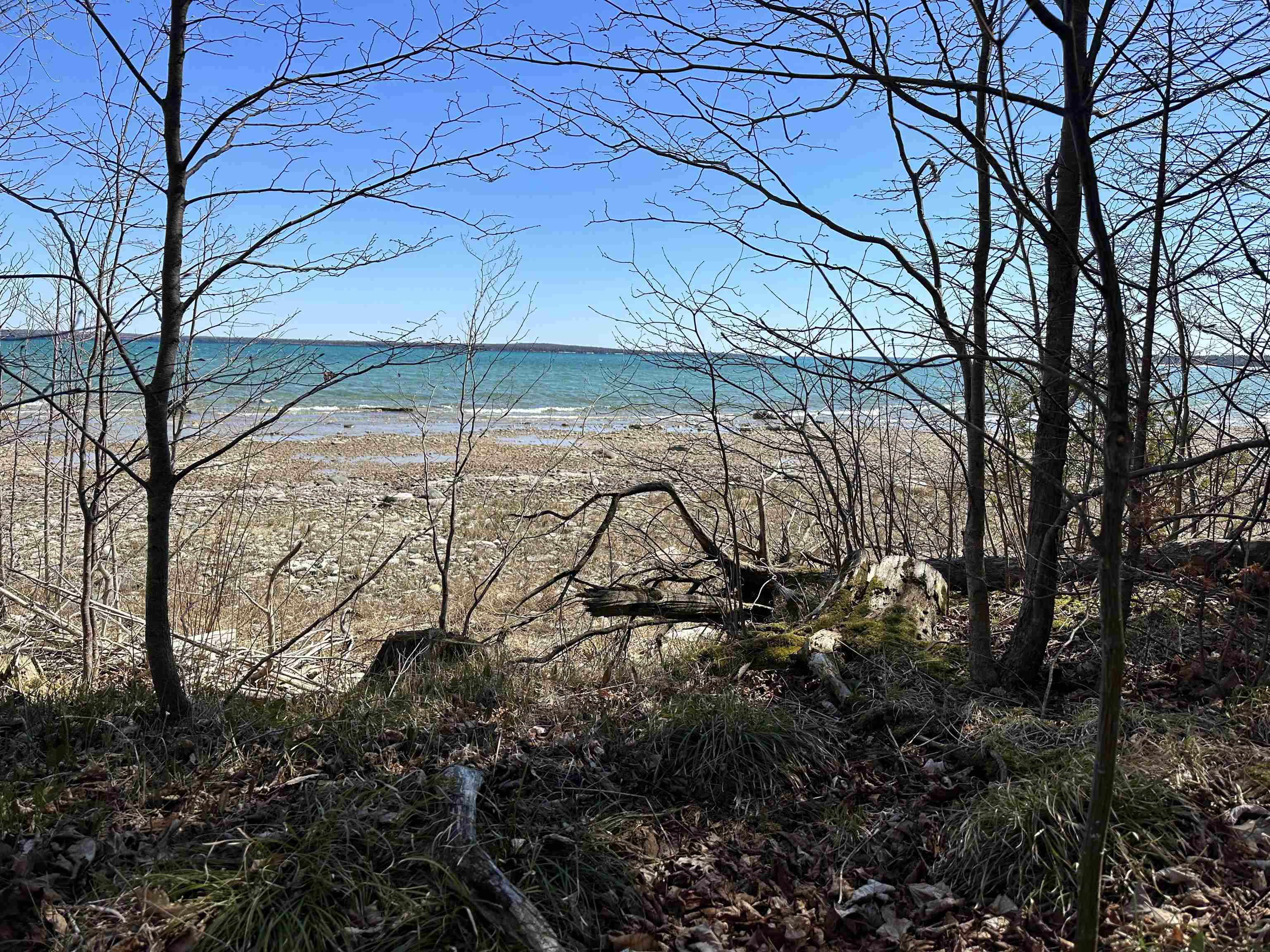Tbd Beaver Island Road Property Photo 9