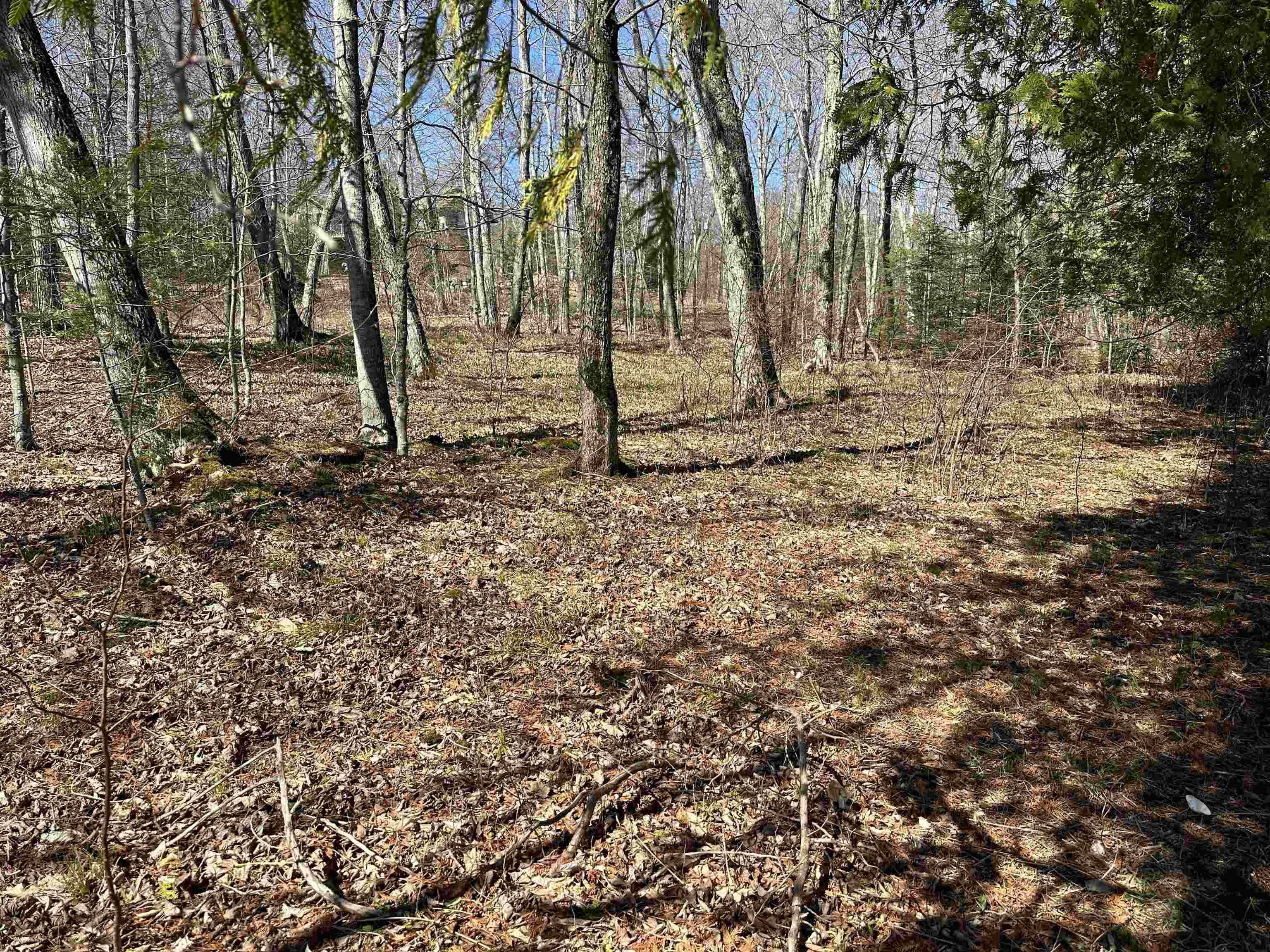 Tbd Beaver Island Road Property Photo 18