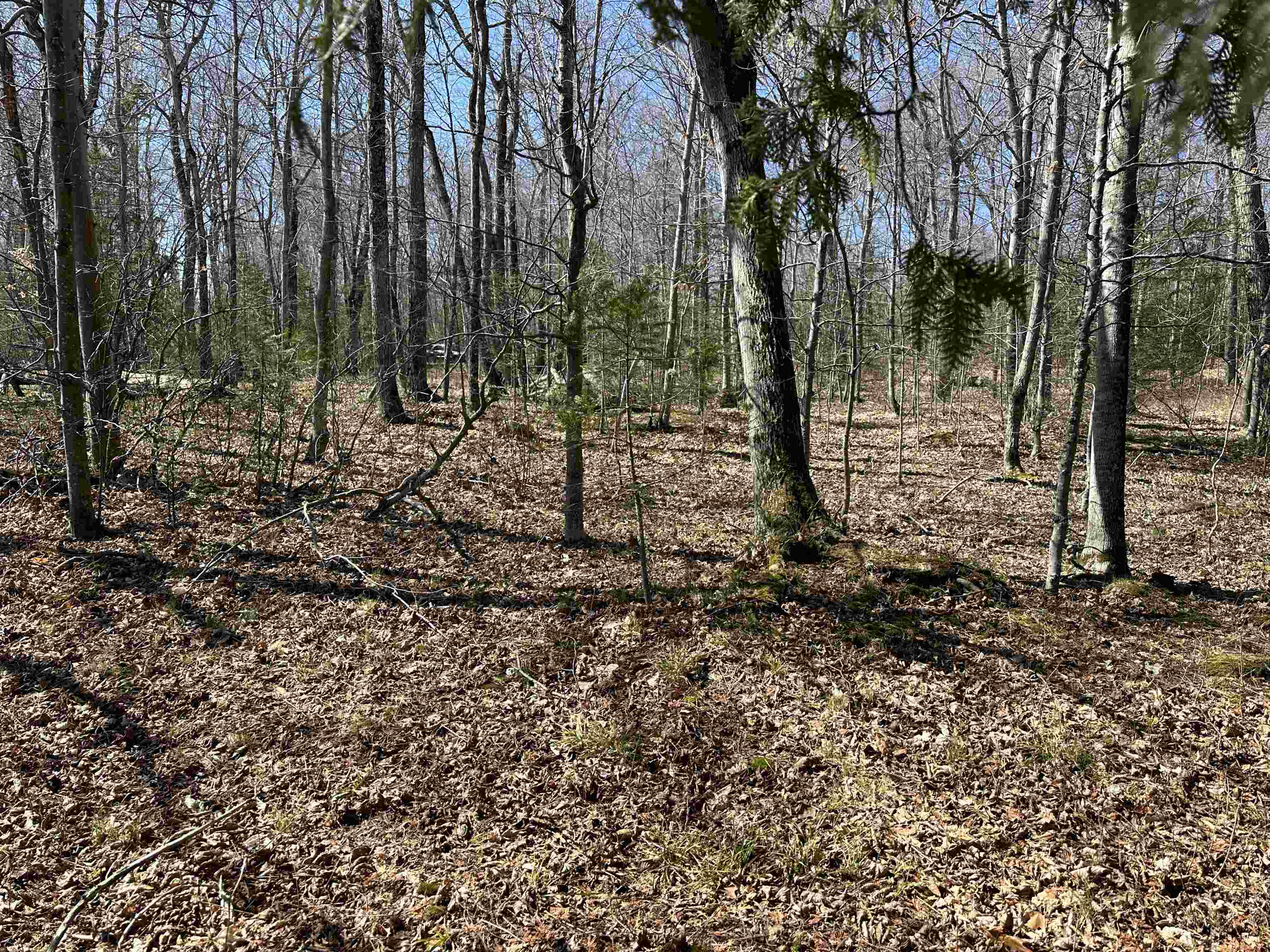 Tbd Beaver Island Road Property Photo 19