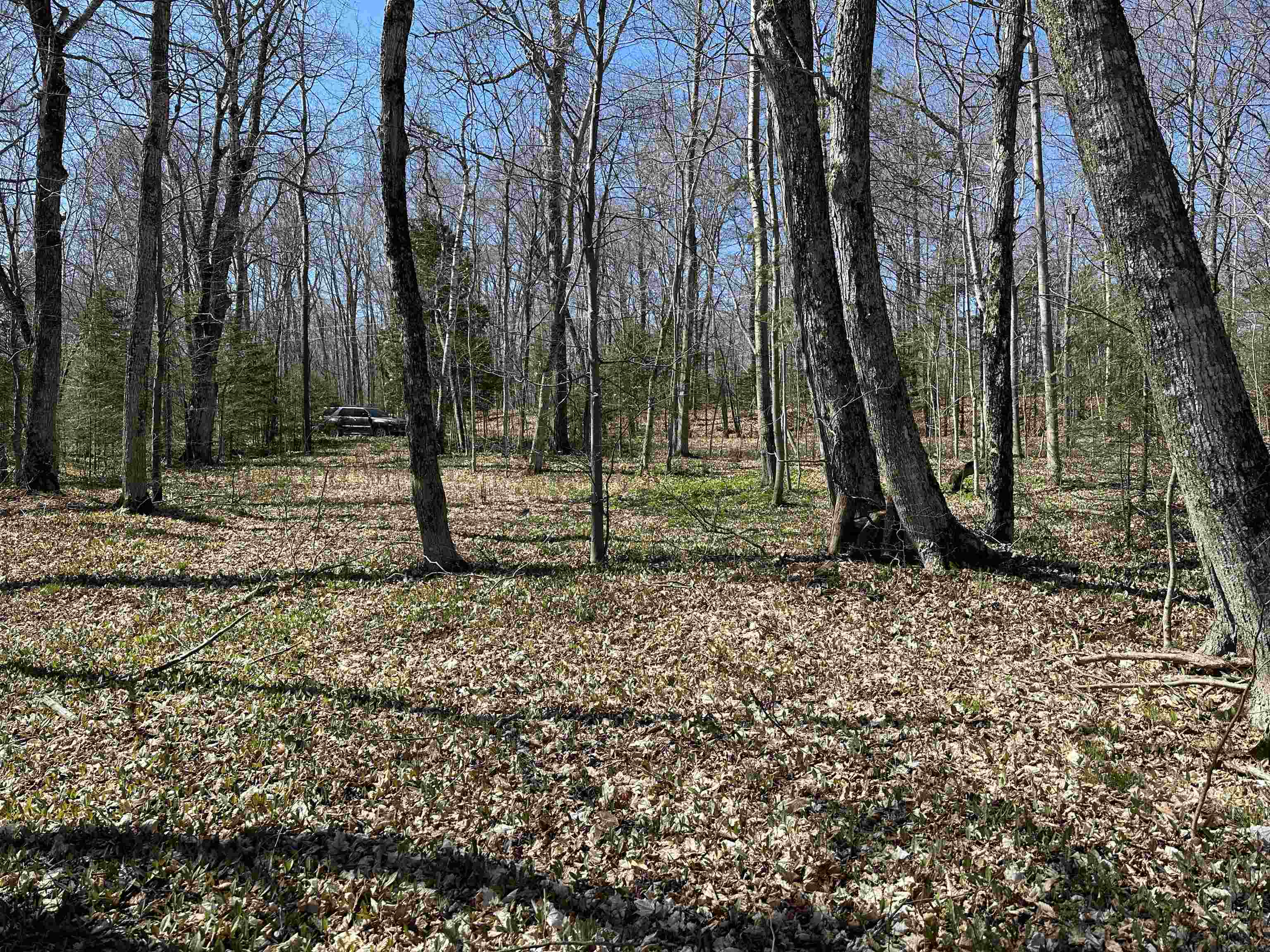 Tbd Beaver Island Road Property Photo 22