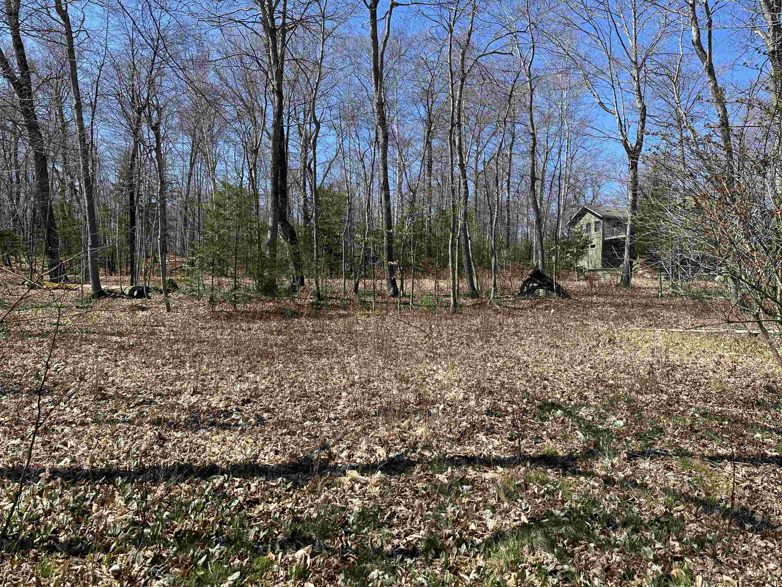 Tbd Beaver Island Road Property Photo 24