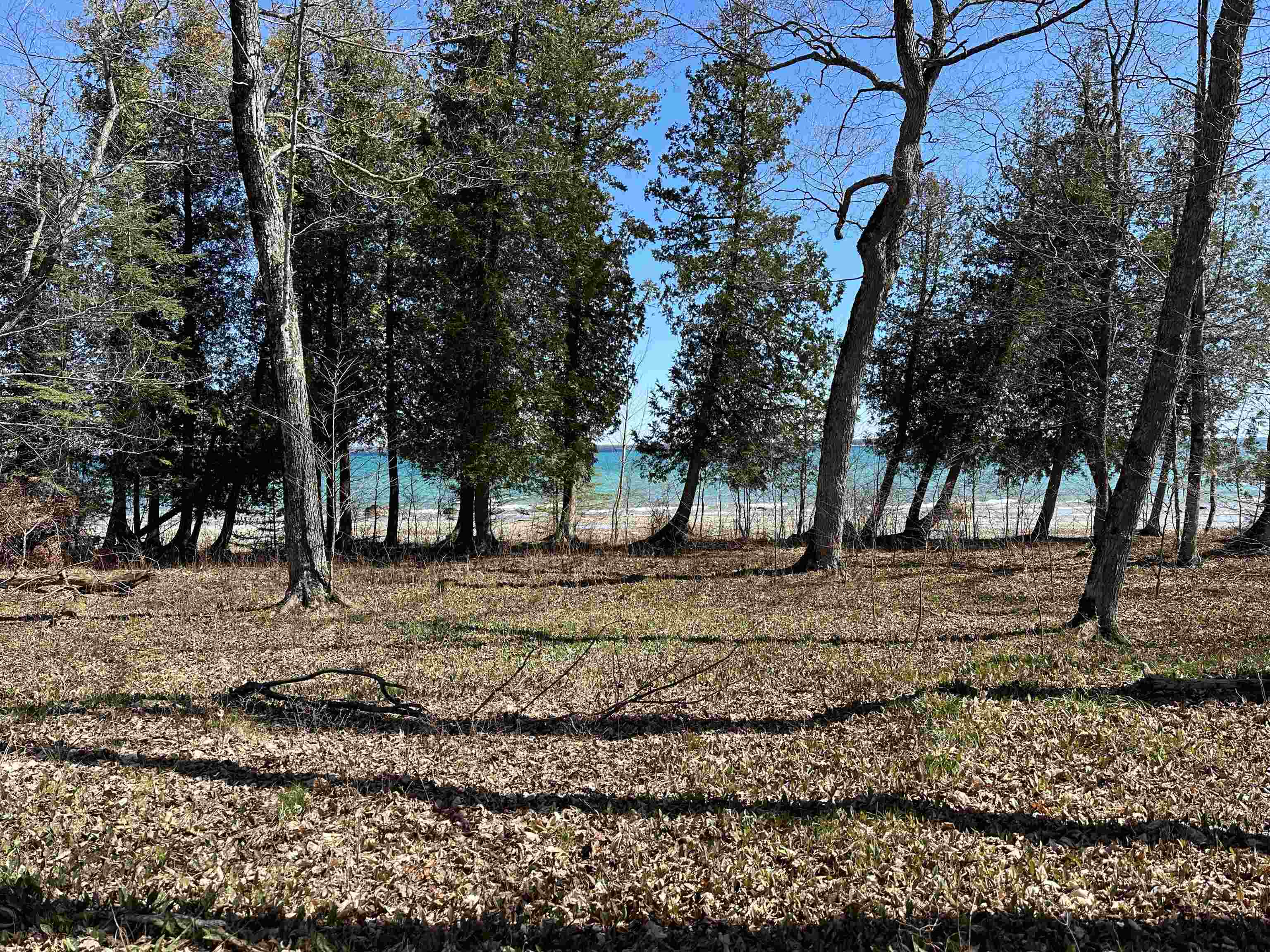 Tbd Beaver Island Road Property Photo 25