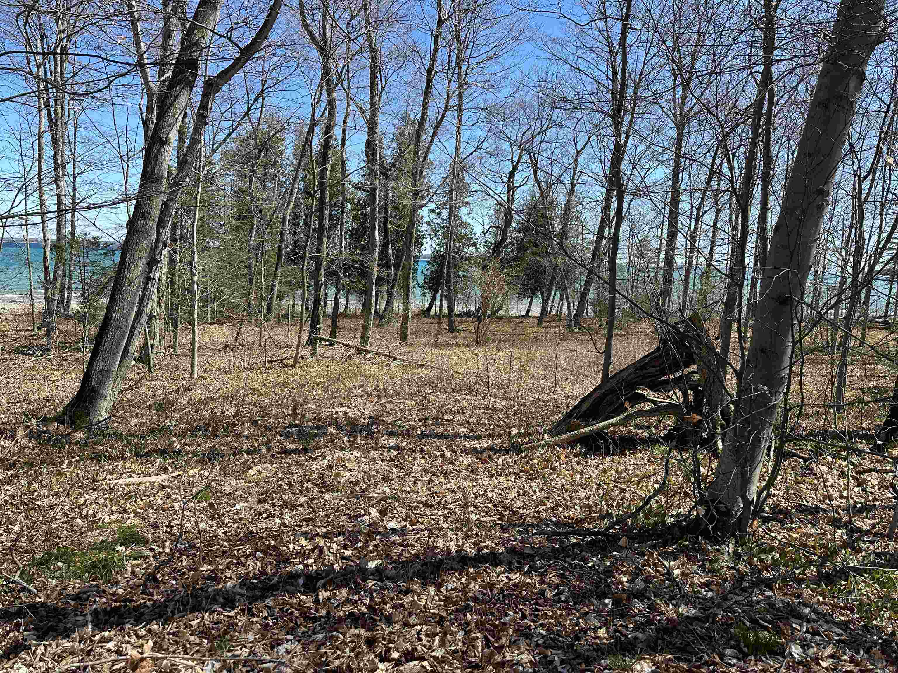 Tbd Beaver Island Road Property Photo 26