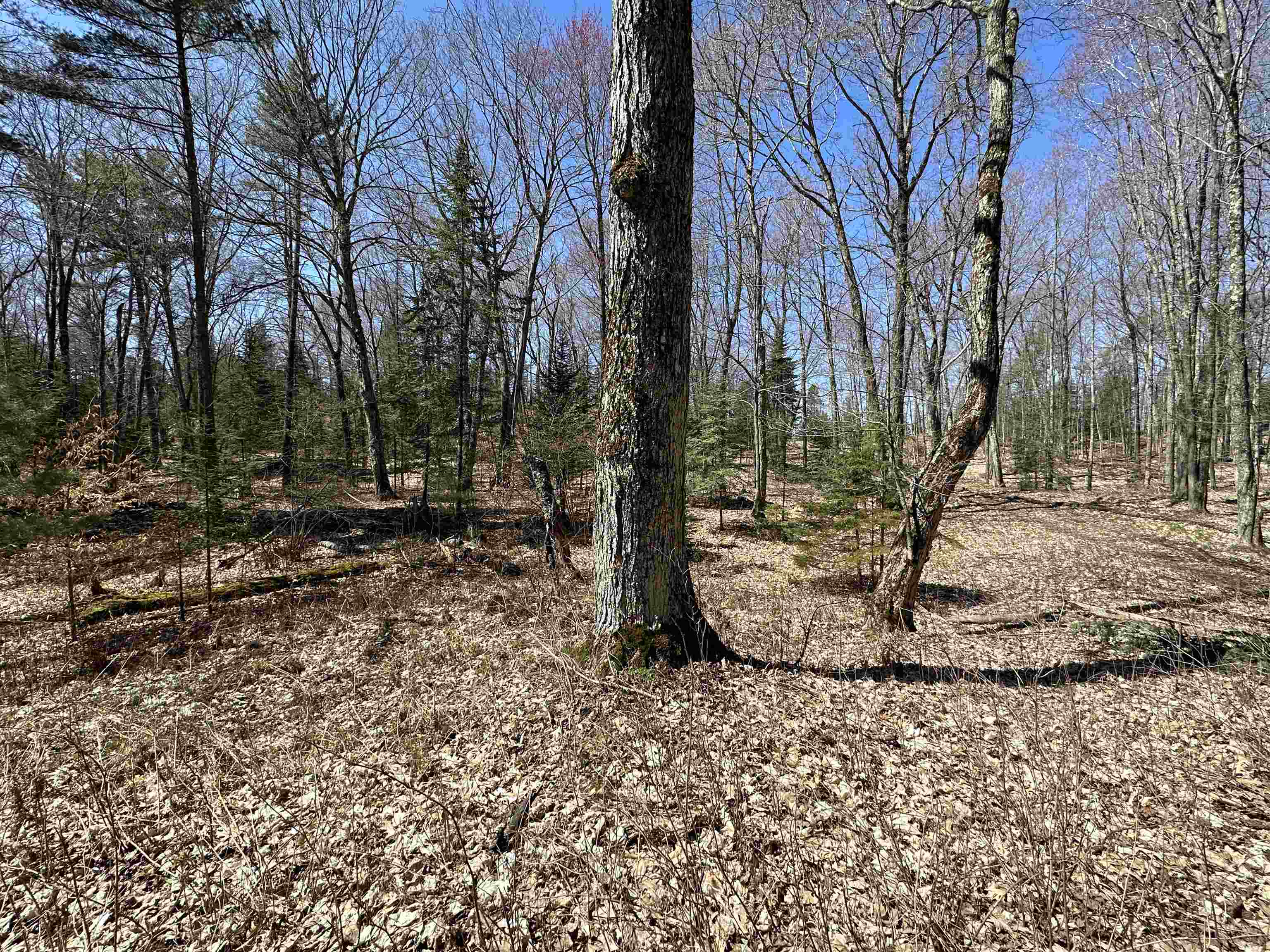 Tbd Beaver Island Road Property Photo 27