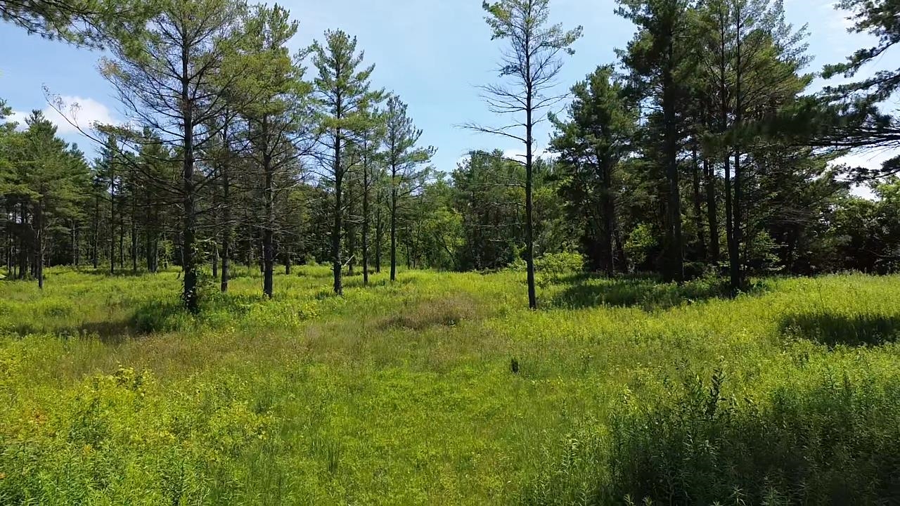 0 S Us-31 Property Photo 3