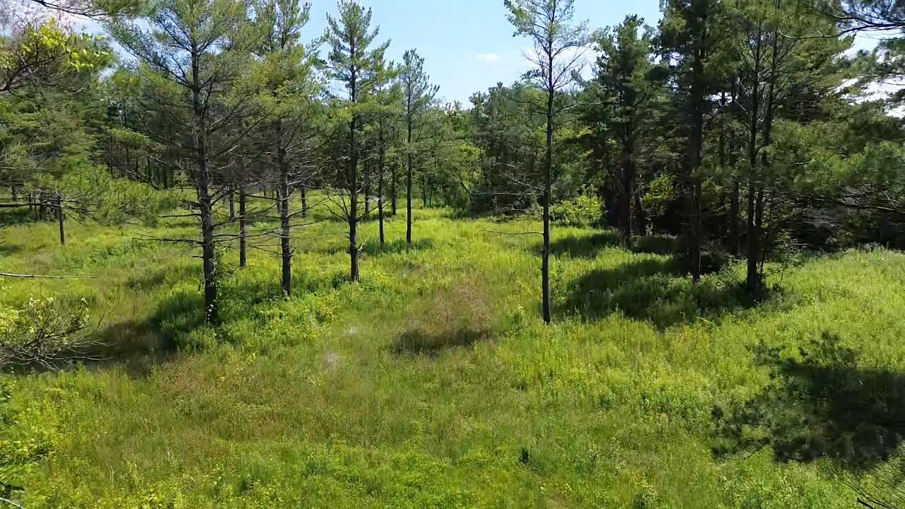 0 S Us-31 Property Photo 4