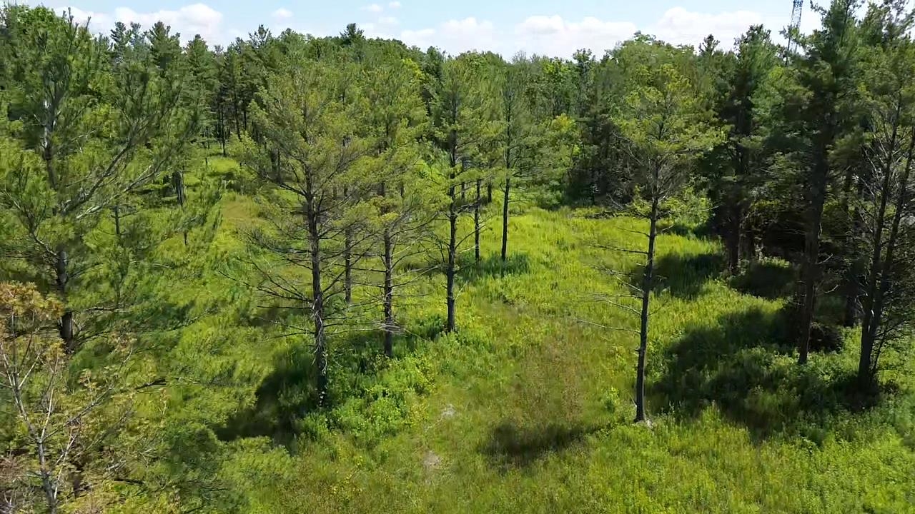 0 S Us-31 Property Photo 5