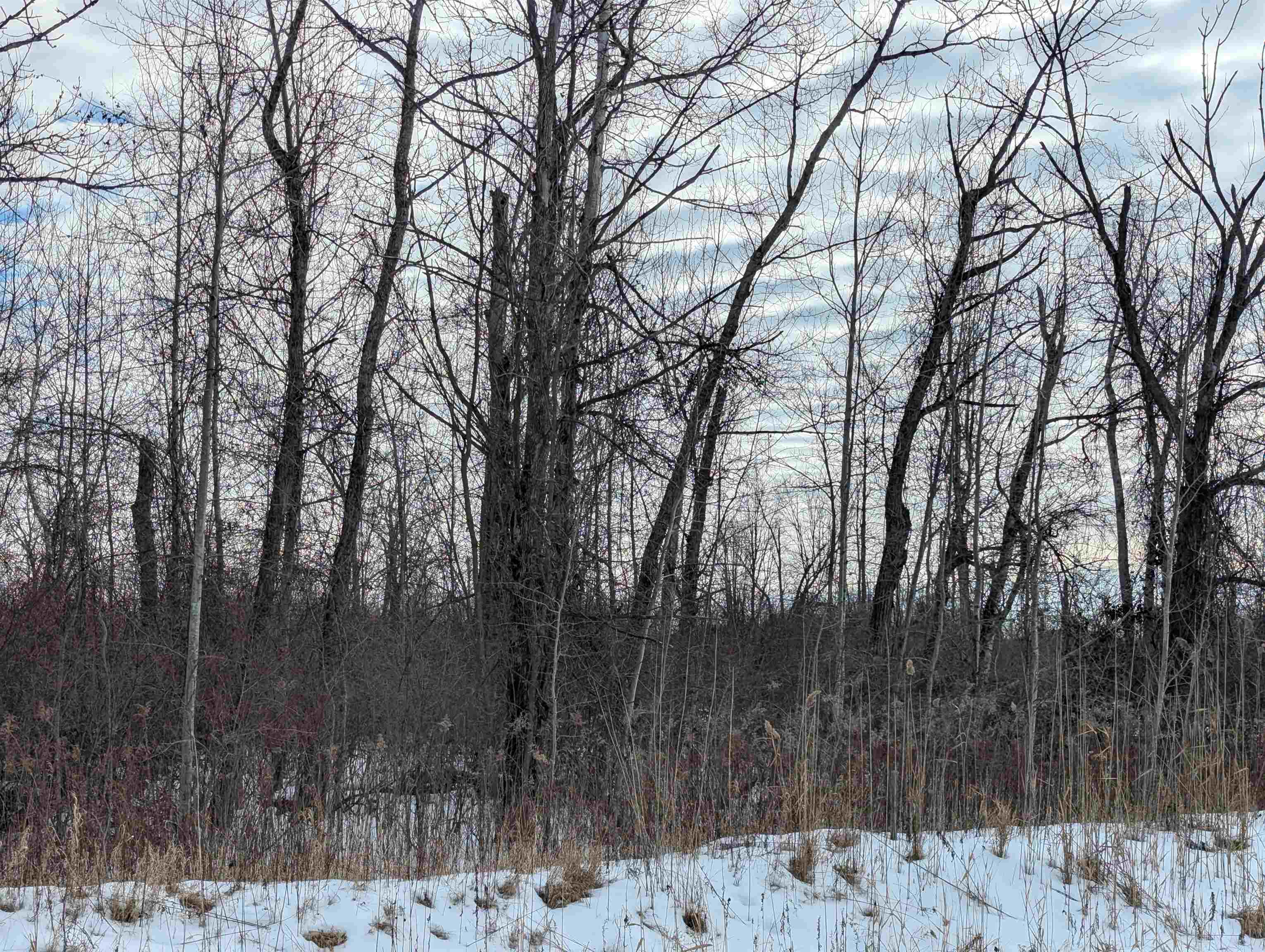 N/a Swenson Road Property Photo 4