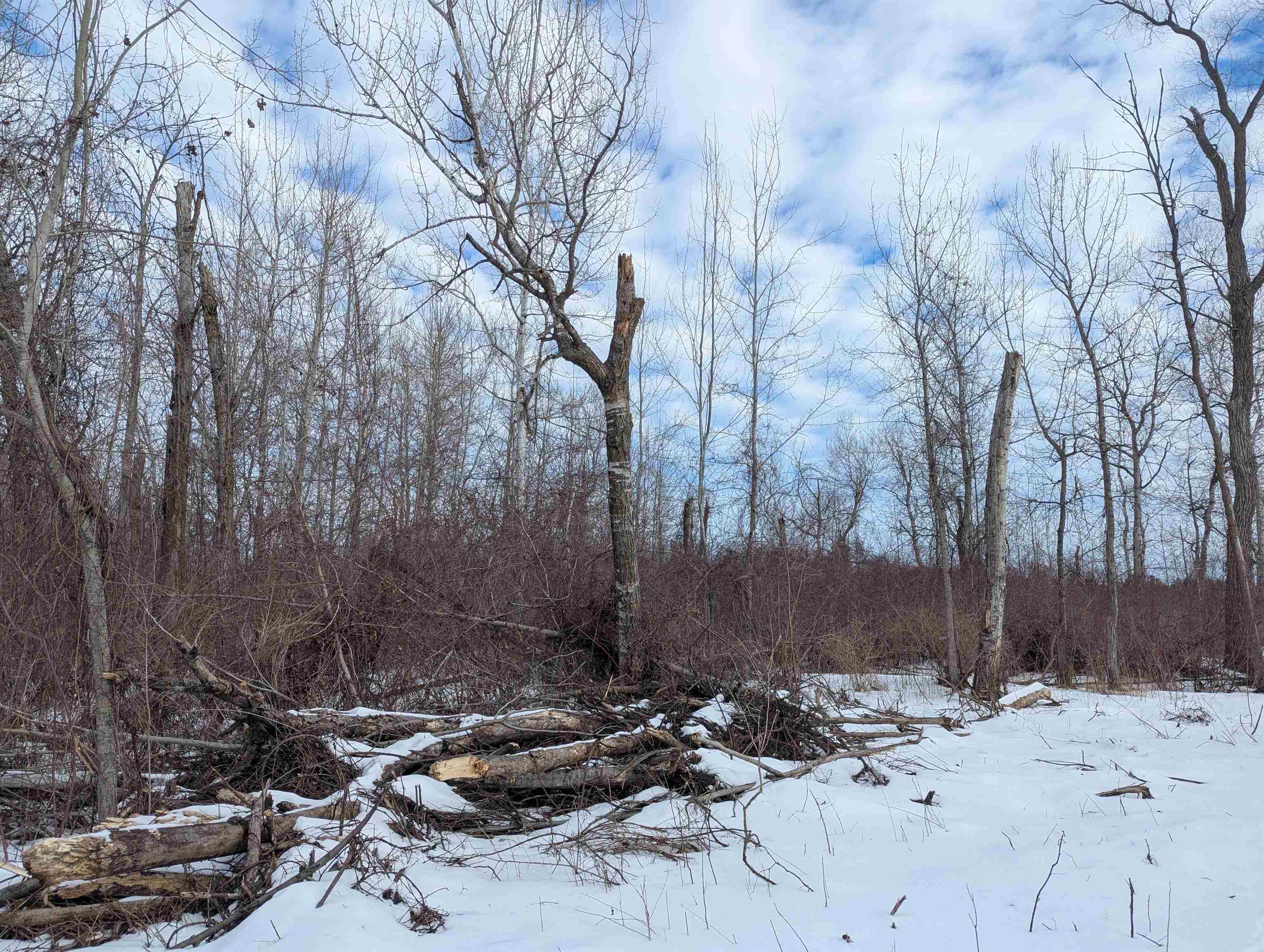 N/a Swenson Road Property Photo 5