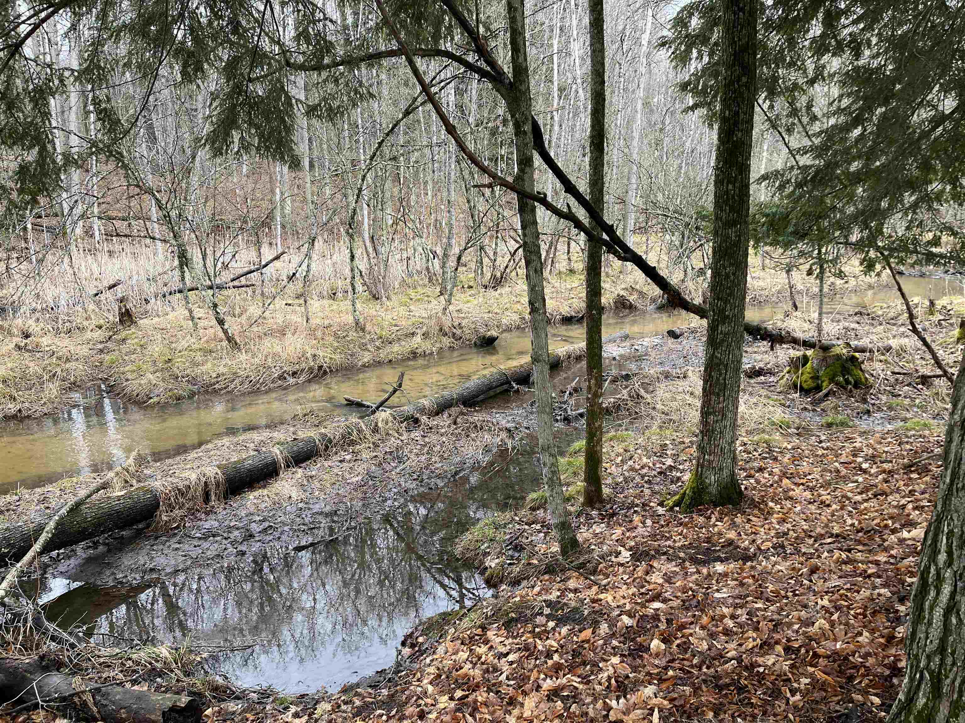 M-55 Property Photo 1