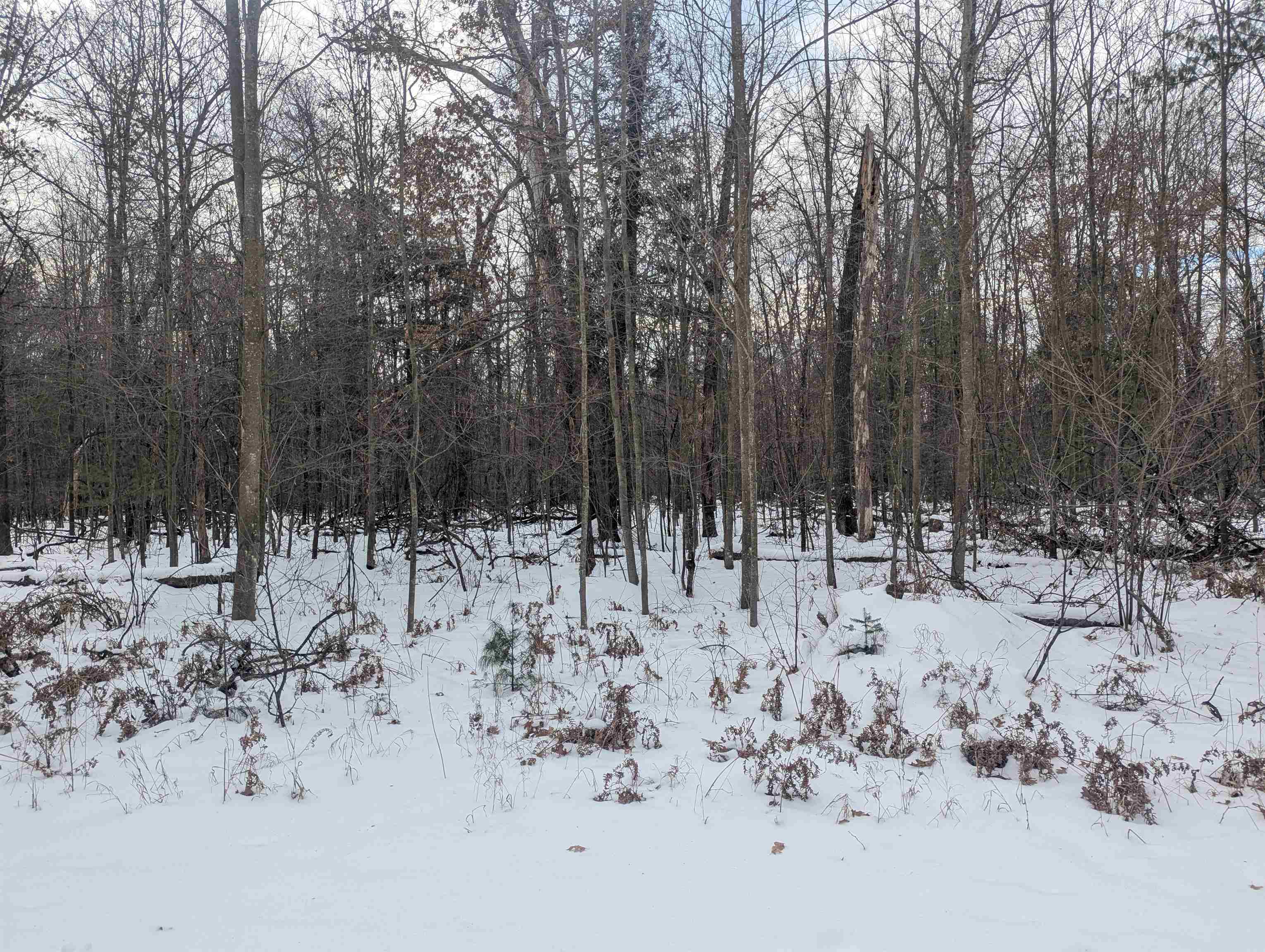 N/a Georgia Edna Lane Property Photo 1