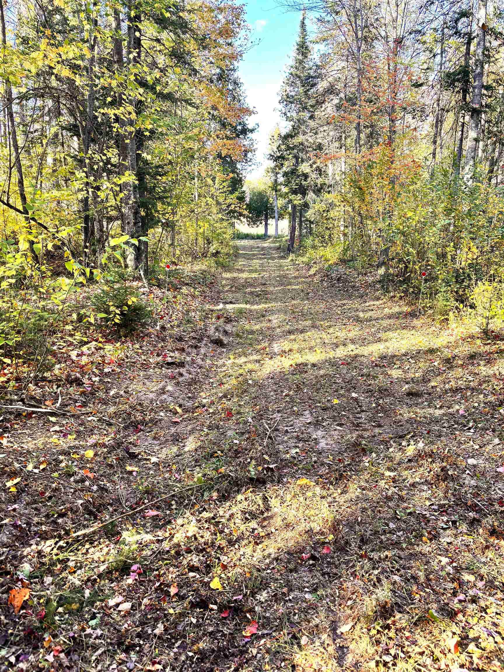 Tbd Keweenaw Pass Road Property Photo 5
