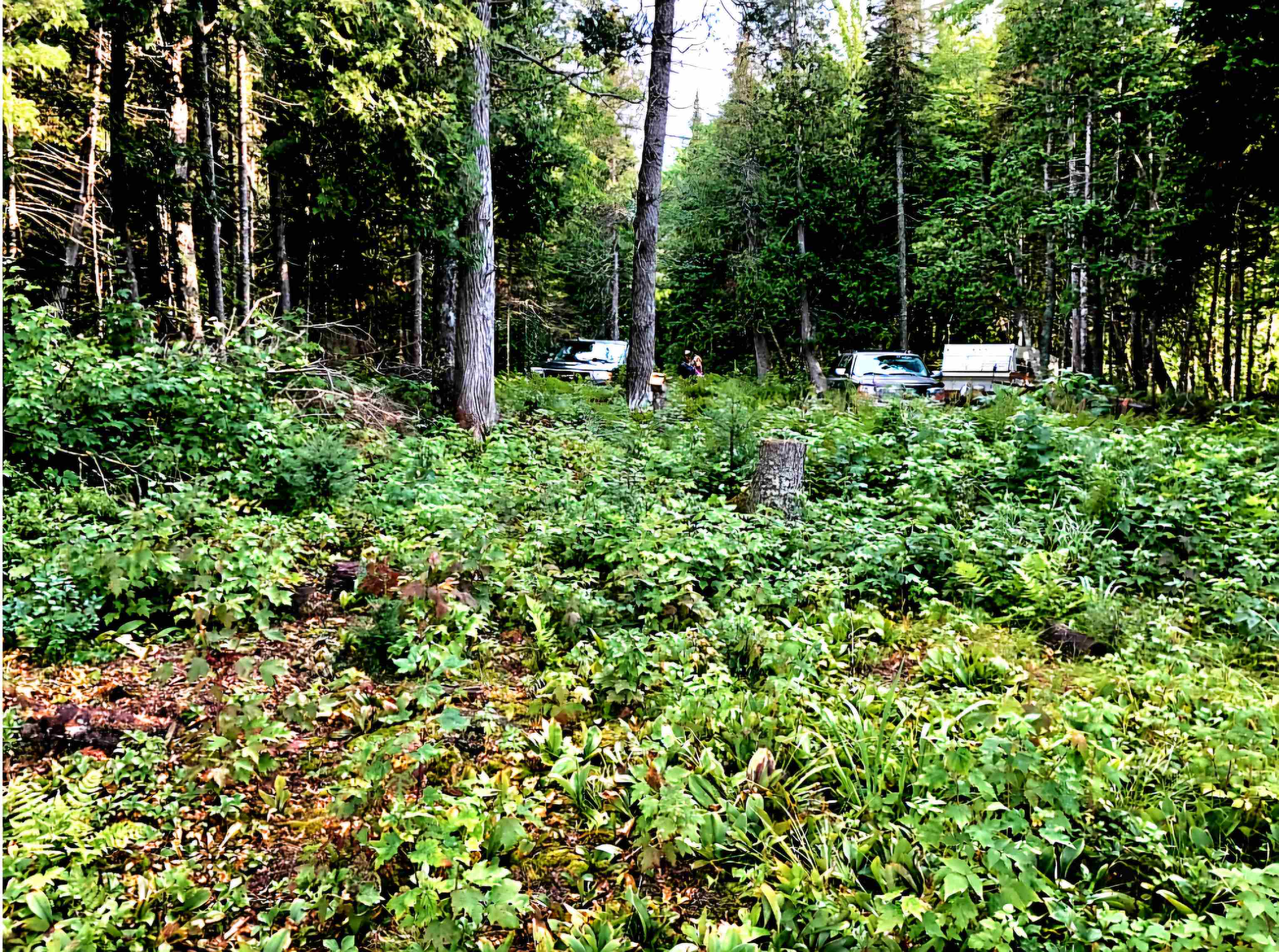 Tbd Keweenaw Pass Road Property Photo 7