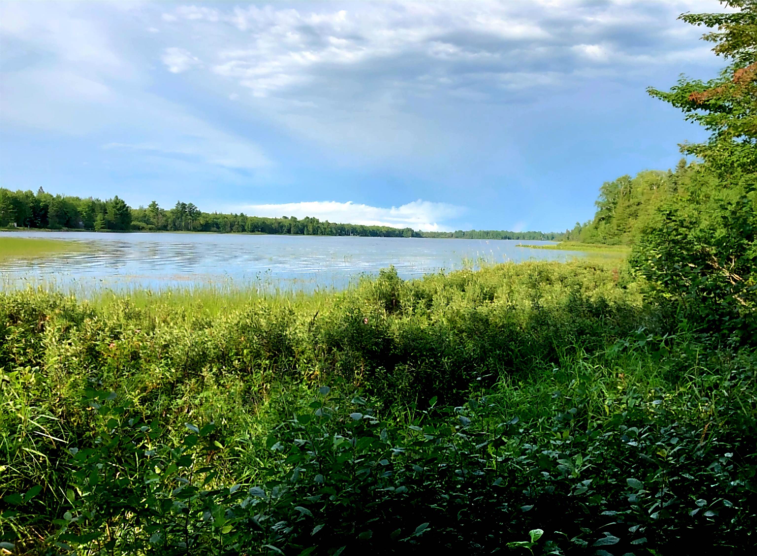Tbd Keweenaw Pass Road Property Photo 9