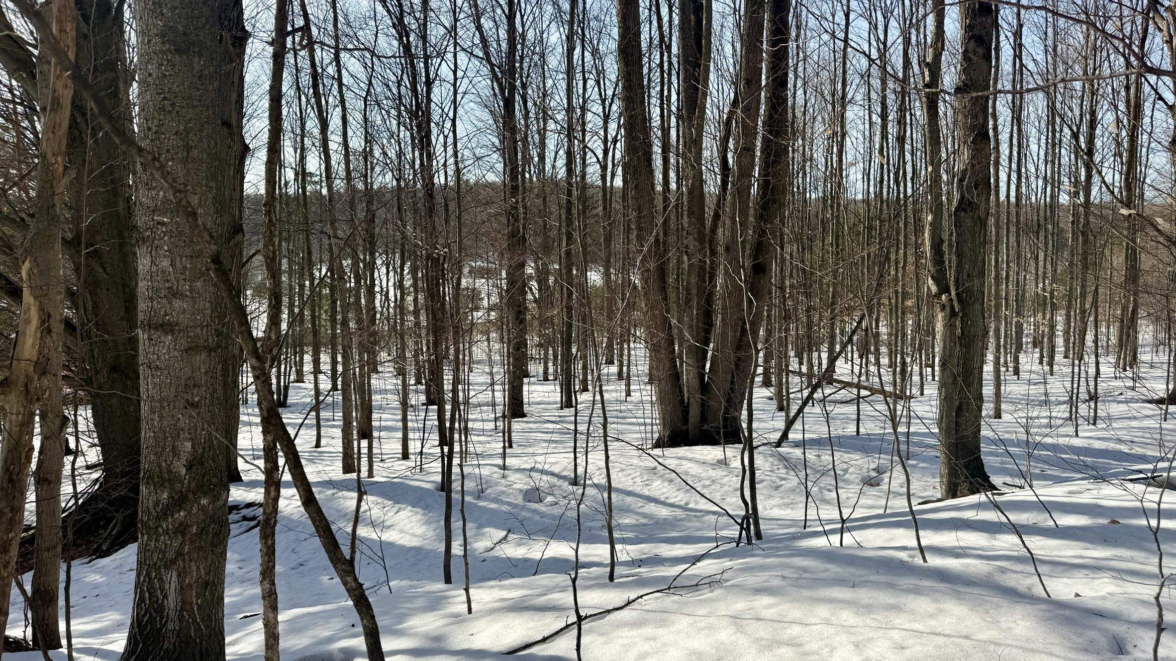 Lot 202 Clearview Drive Property Photo 4