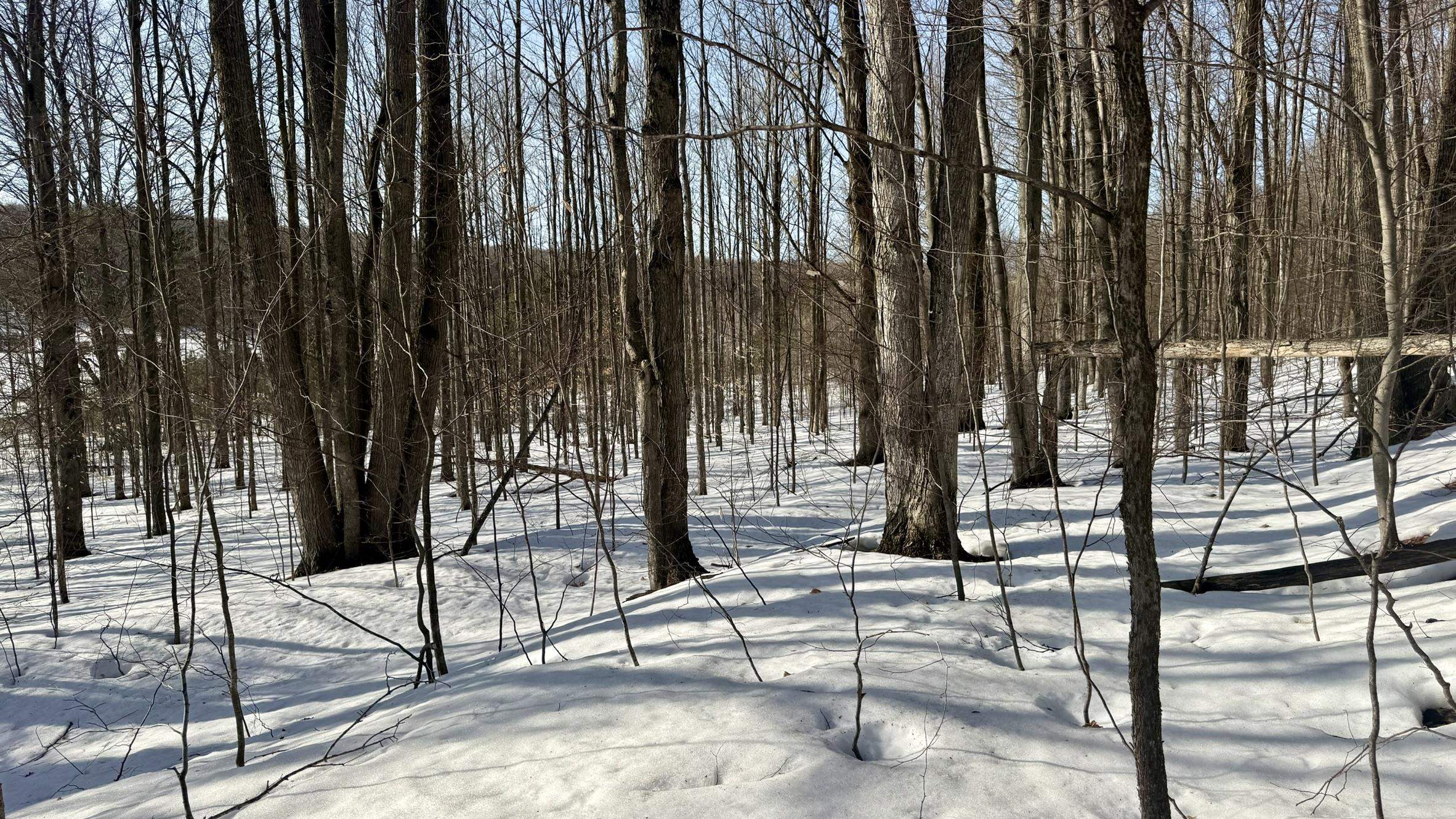 Lot 202 Clearview Drive Property Photo 5
