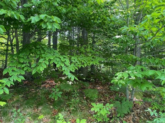 # 8 Mooney Way Property Photo 5