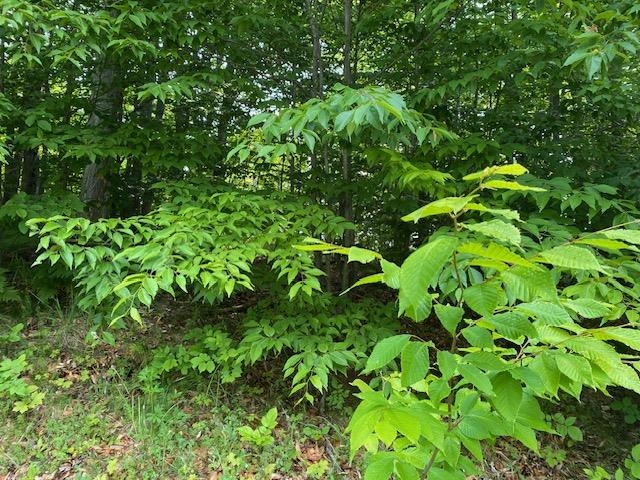 # 8 Mooney Way Property Photo 6
