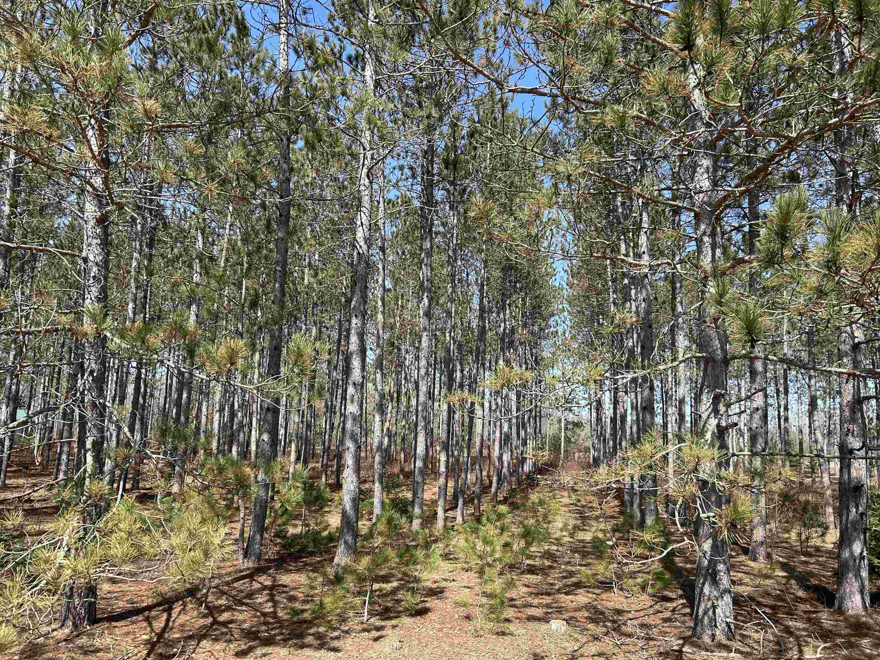 Lot 4 Meadow Lane