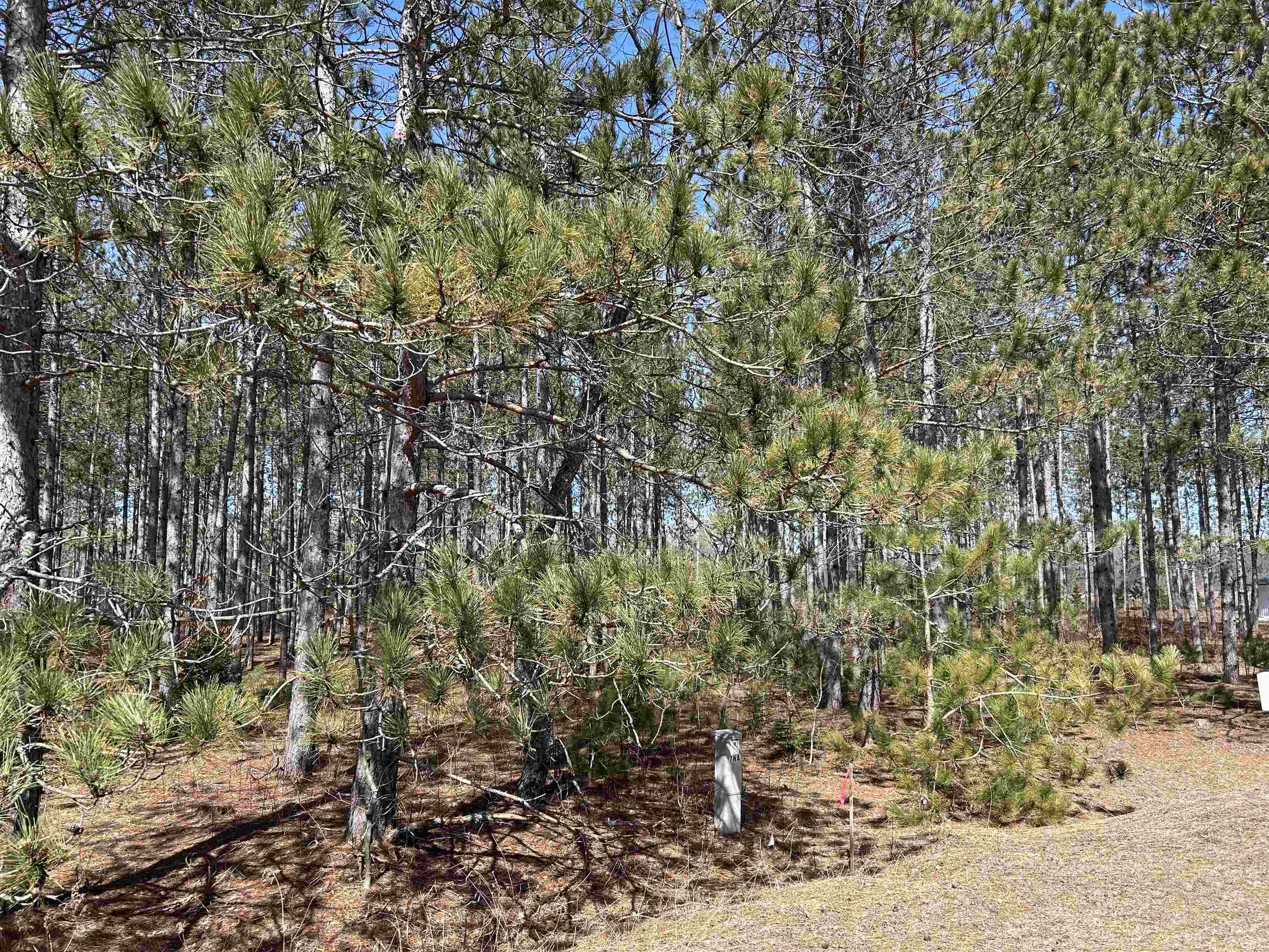 Lot 4 Meadow Lane Property Photo 5