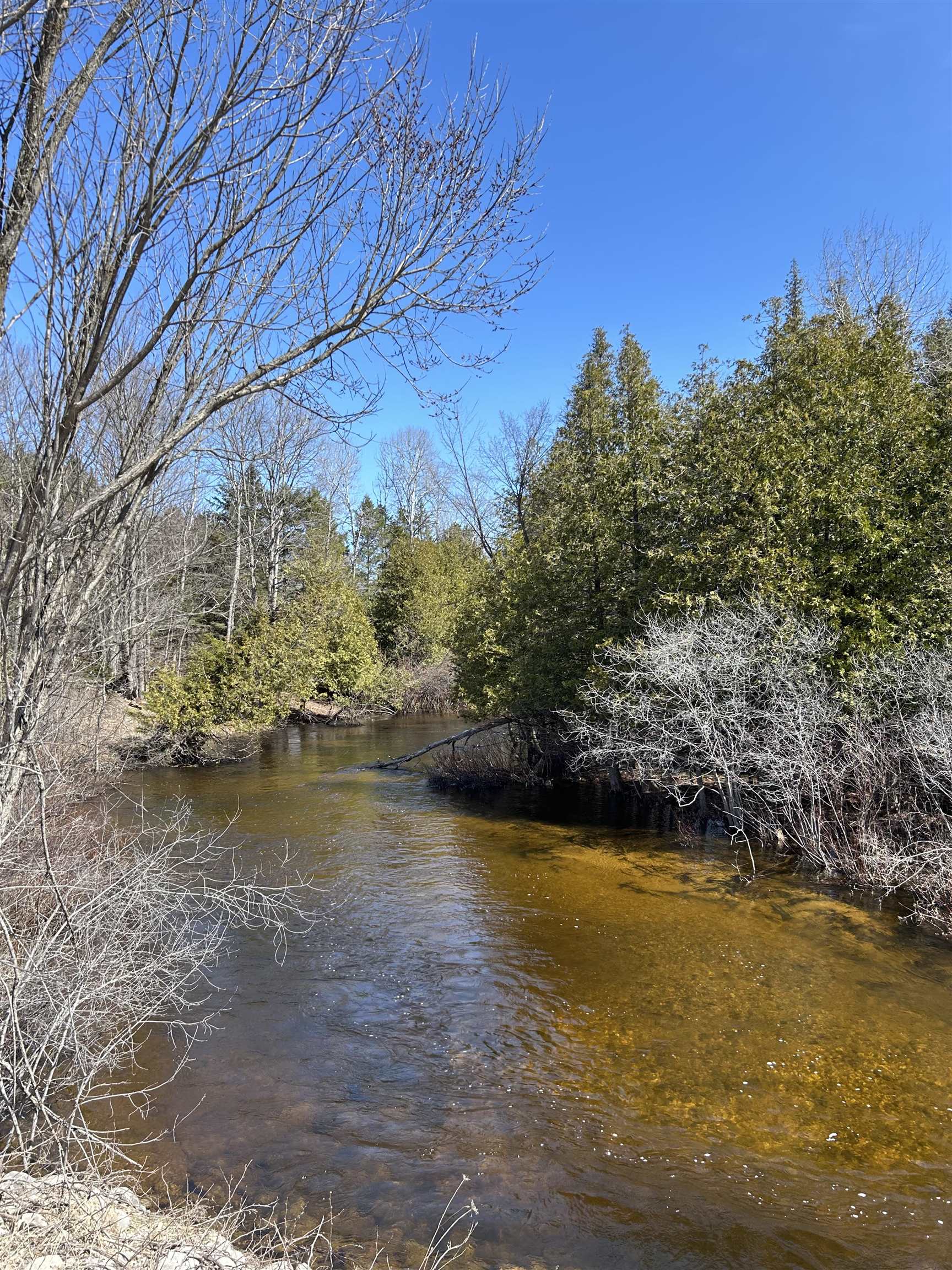 Lot 4 Meadow Lane Property Photo 8