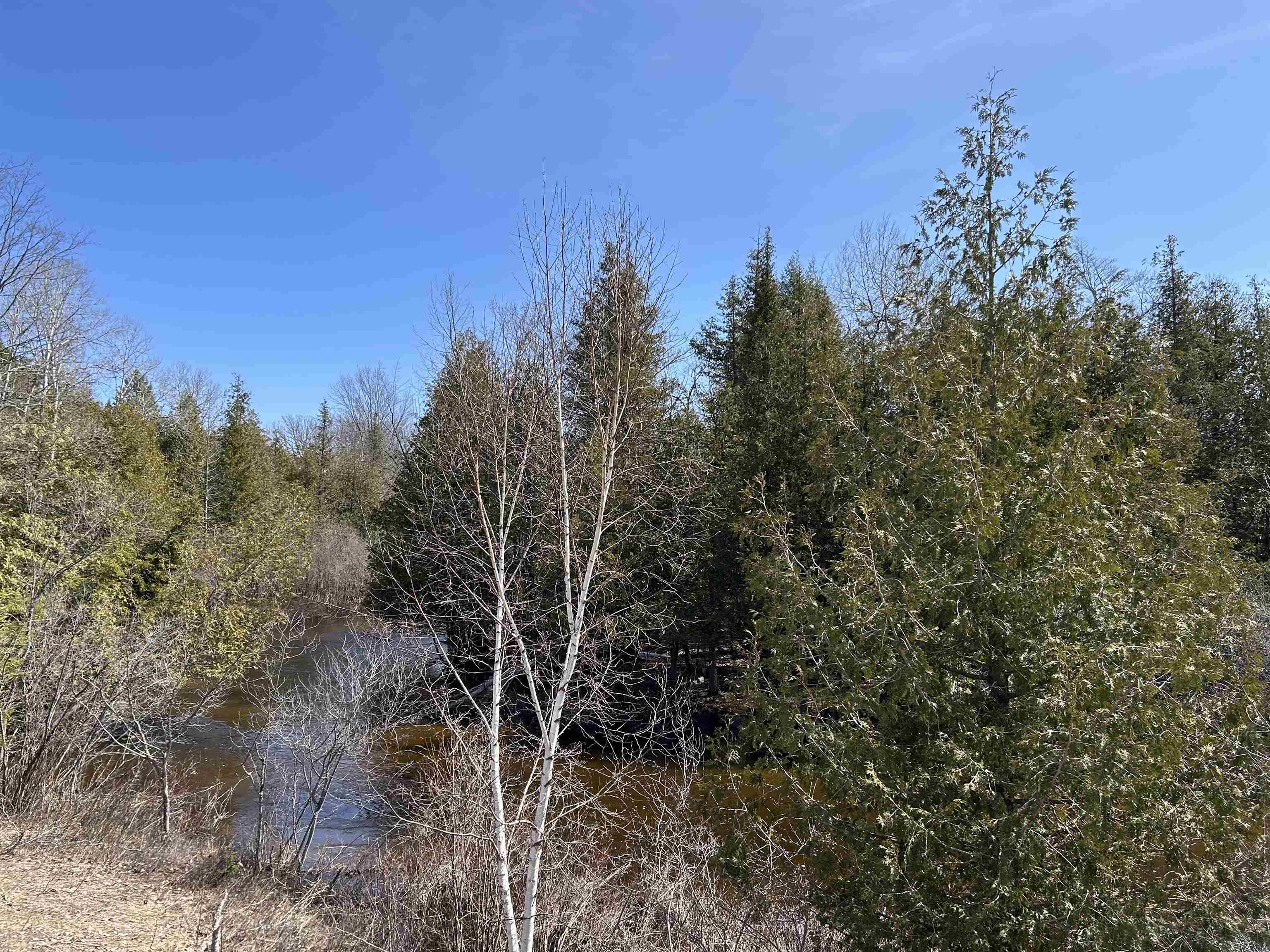 Lot 4 Meadow Lane Property Photo 9