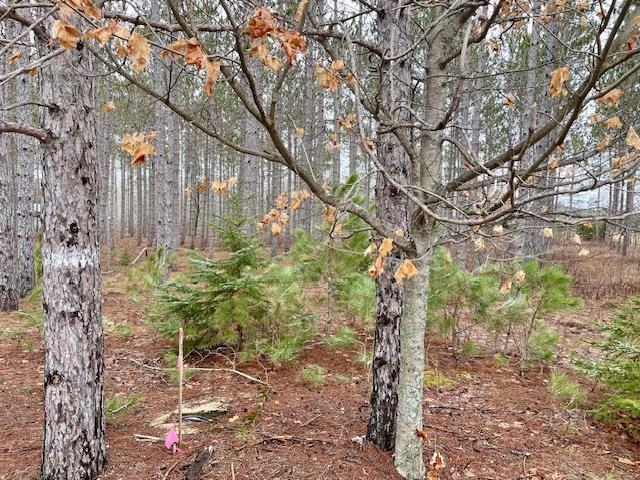 Lot 4 Meadow Lane Property Photo 16