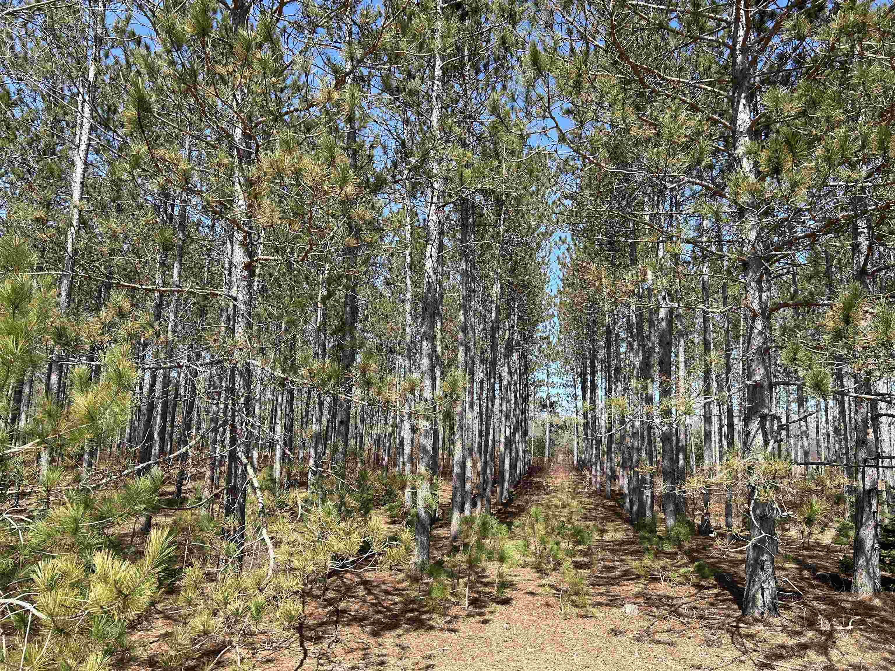 Lot 4 Meadow Lane Property Photo 19
