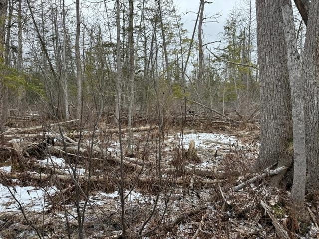 000 Pioneer Road Property Photo 2