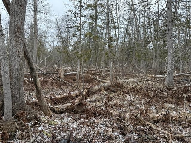 000 Pioneer Road Property Photo 3