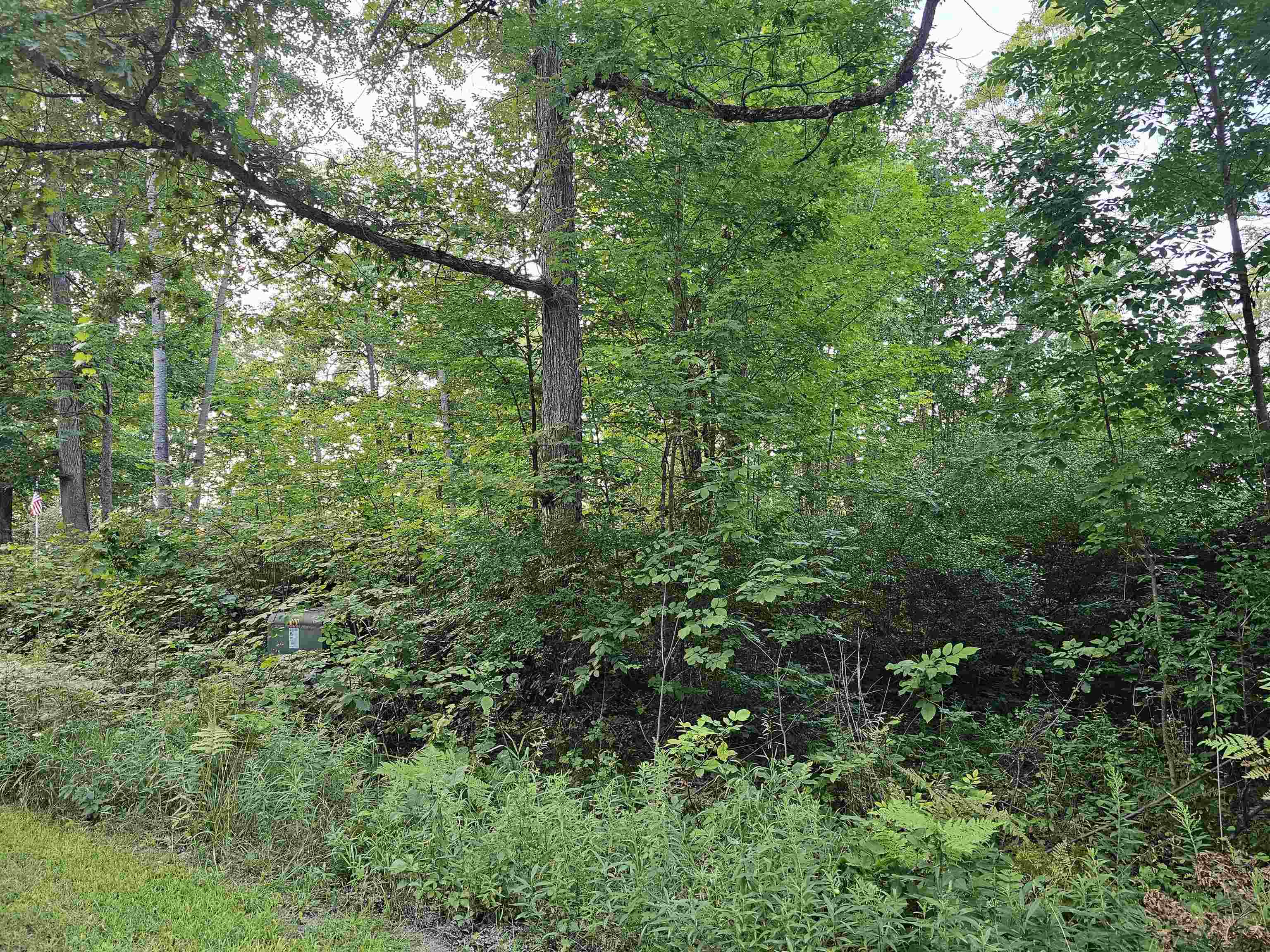V/l Oak Lane Property Photo 5