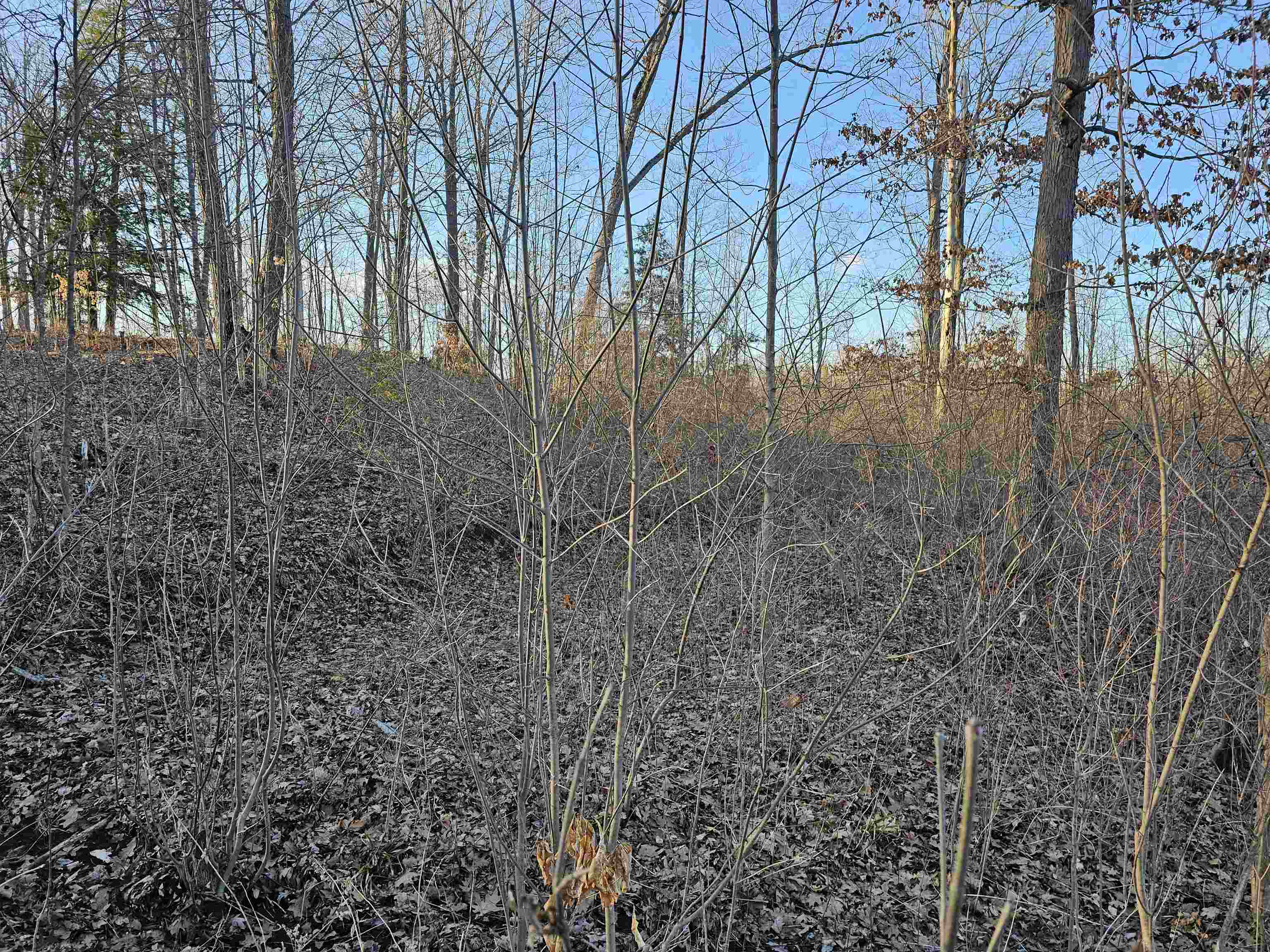 V/l Oak Lane Property Photo 11