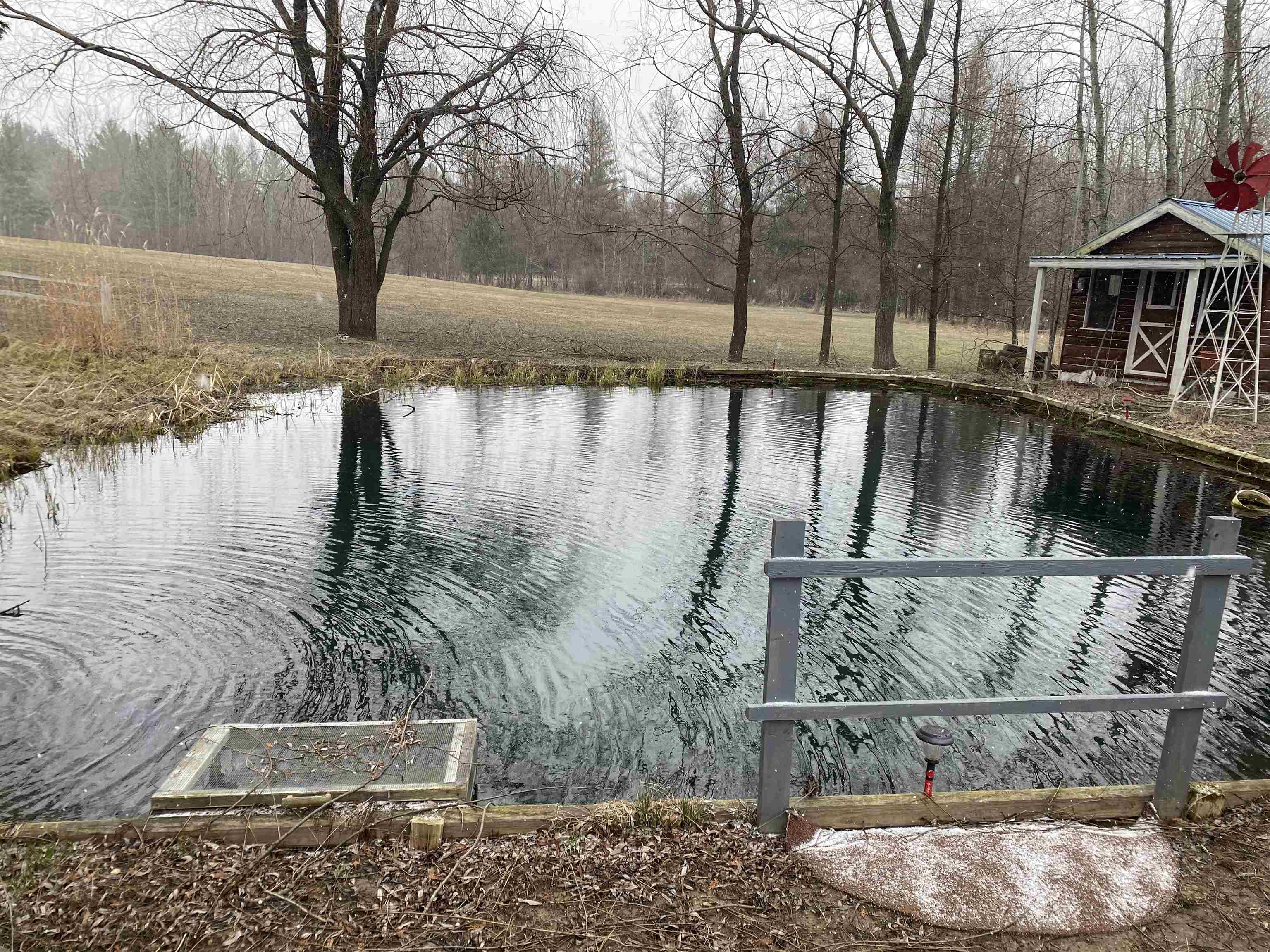 1447 S Dow Road Property Photo 21