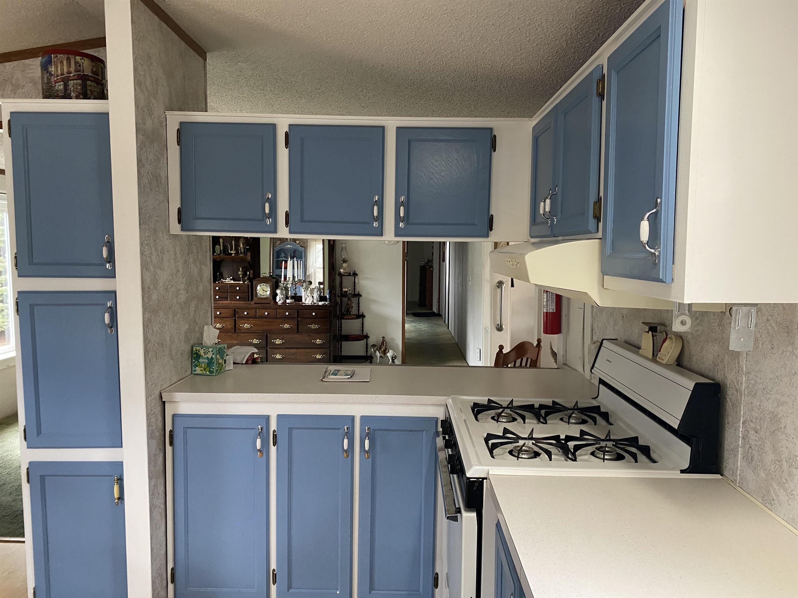 1447 S Dow Road Property Photo 39