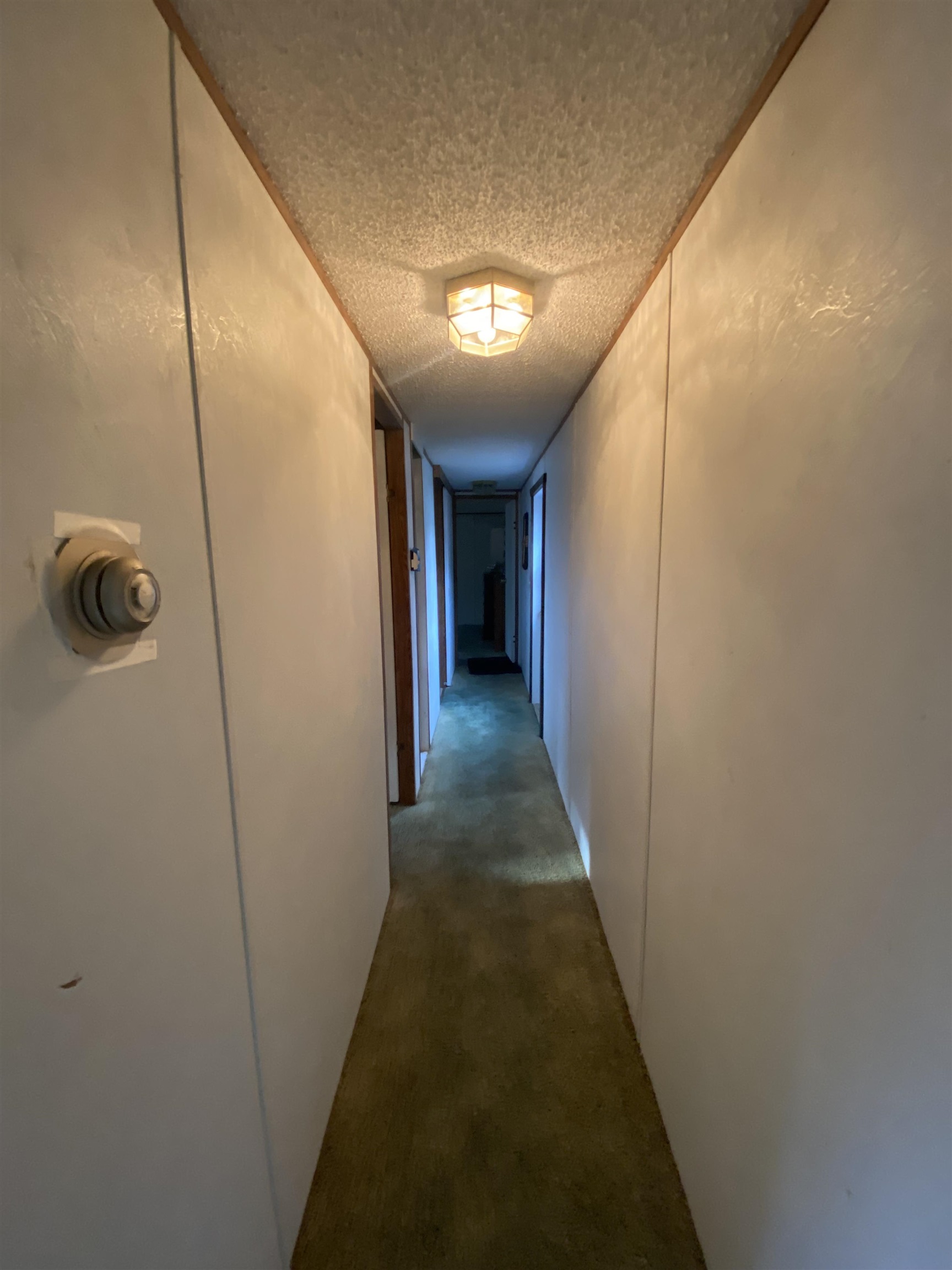 1447 S Dow Road Property Photo 41