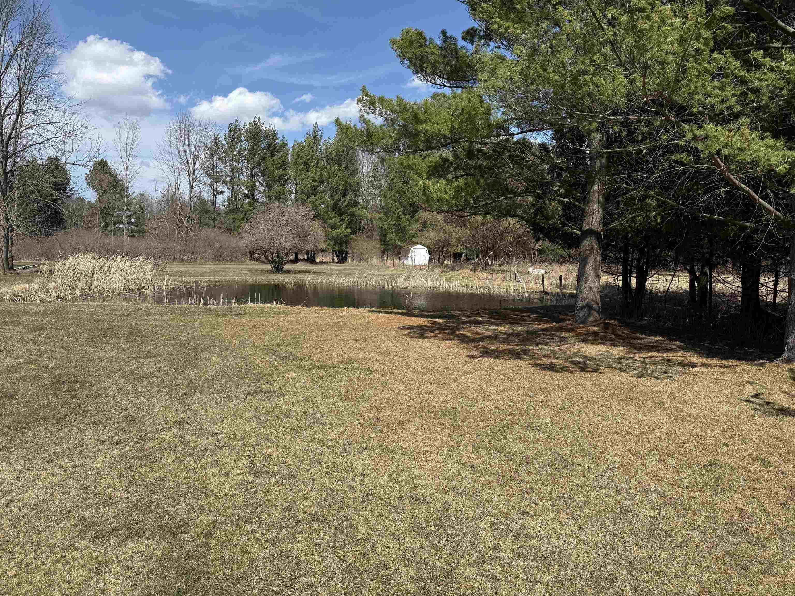 3991 Dundas Road Property Photo 16