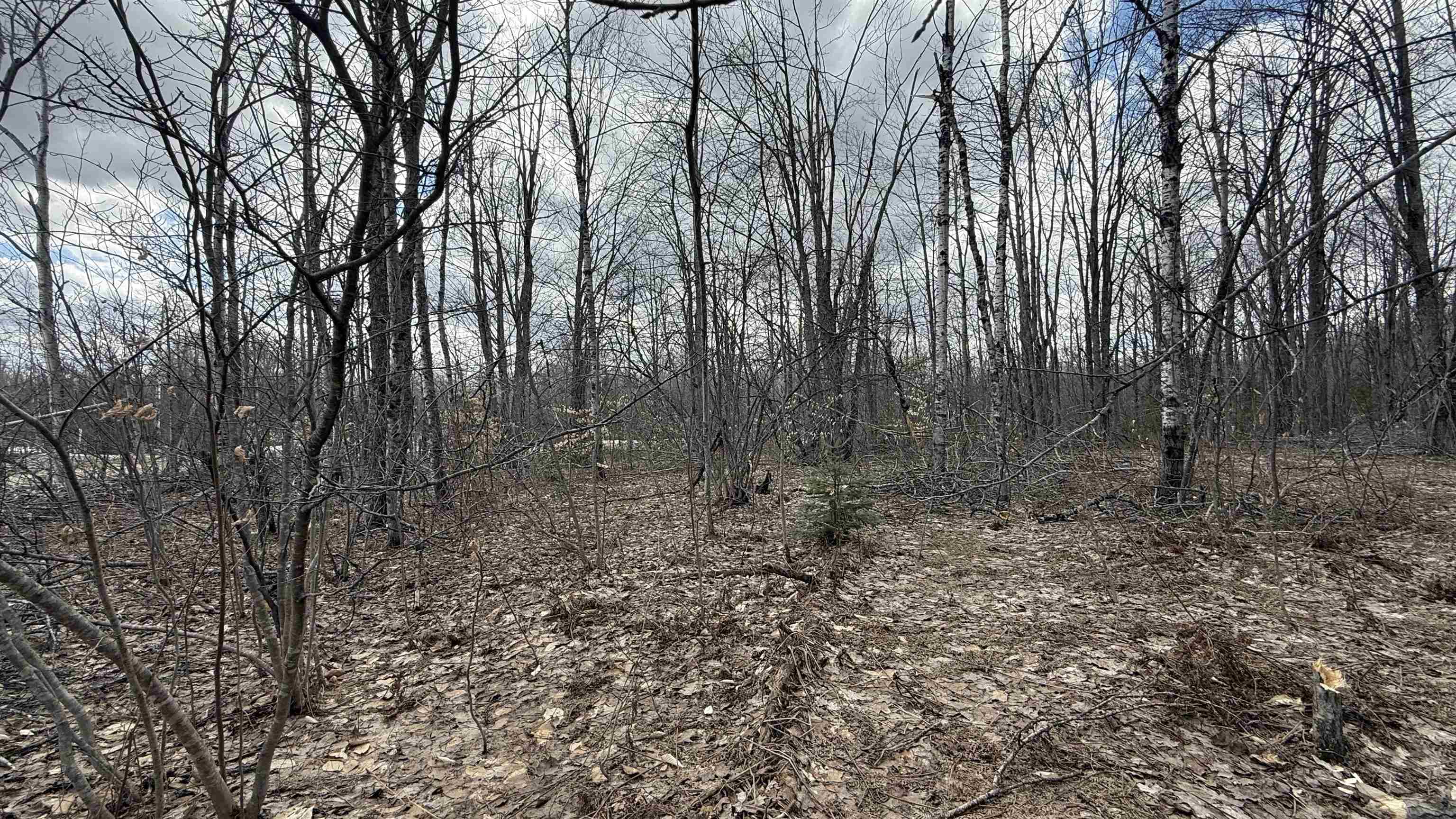 Lot 857 Hollyglen Drive Property Photo 4